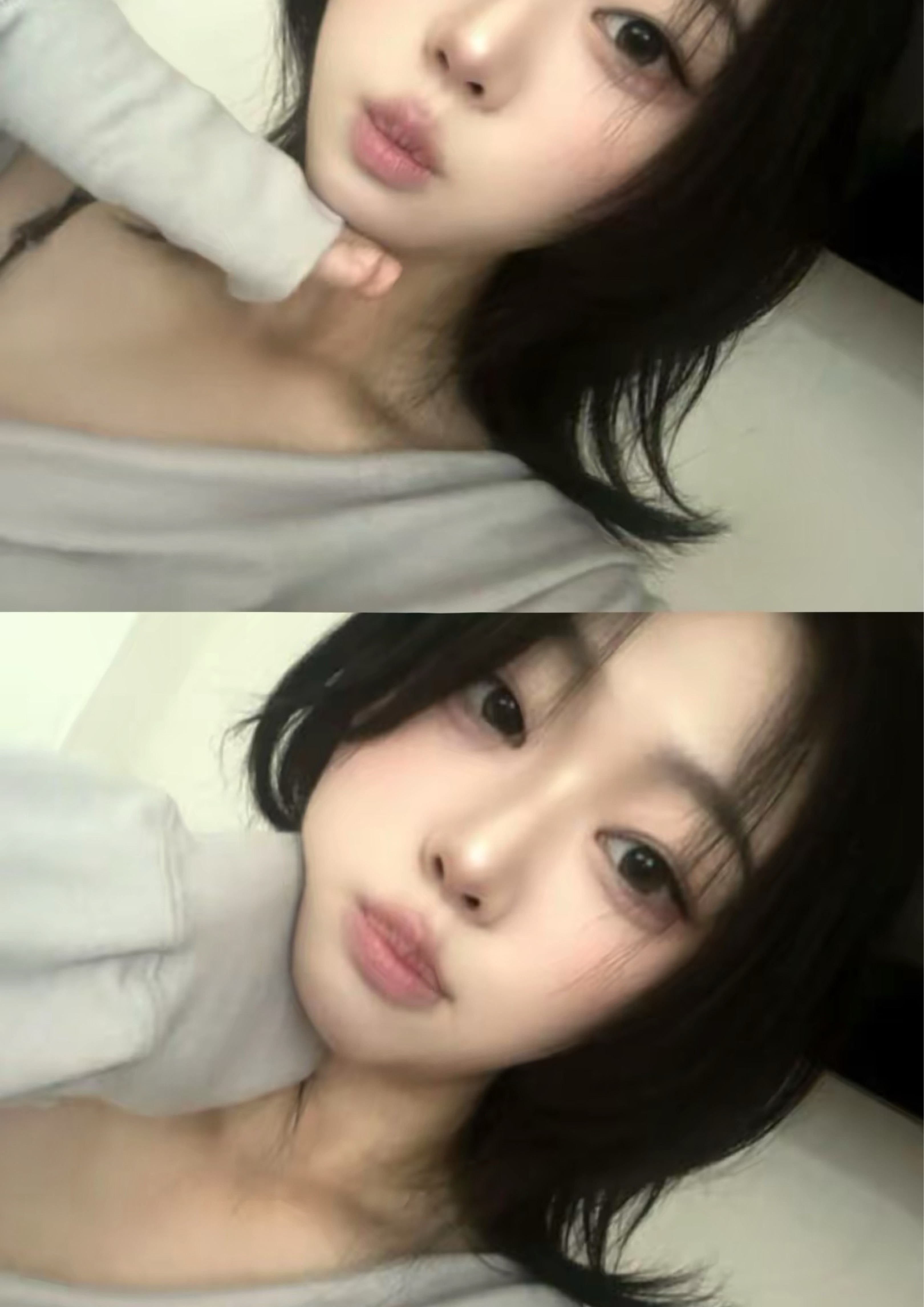 동물병원 같이 할 사람