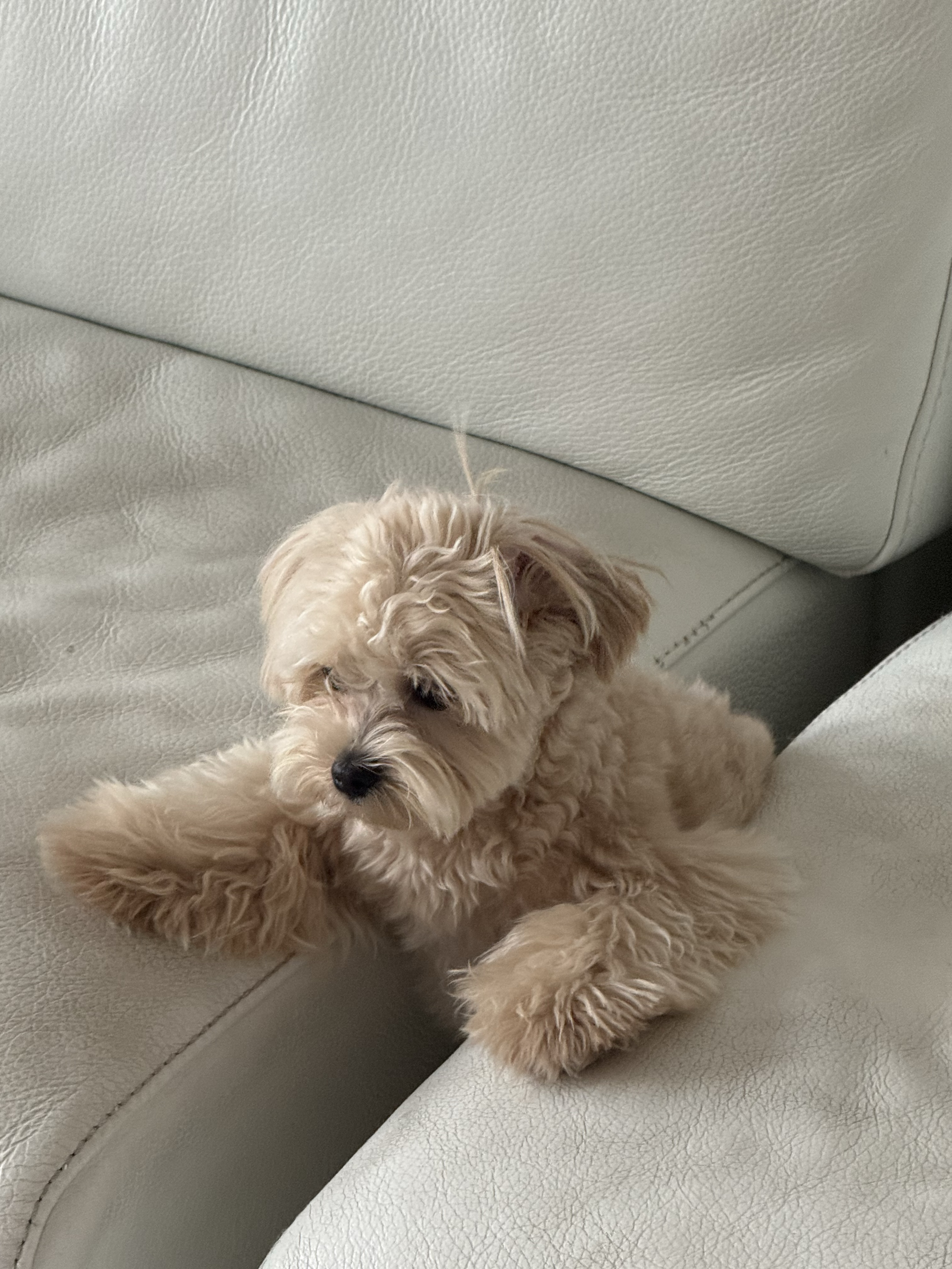 ㅎ ㅇ