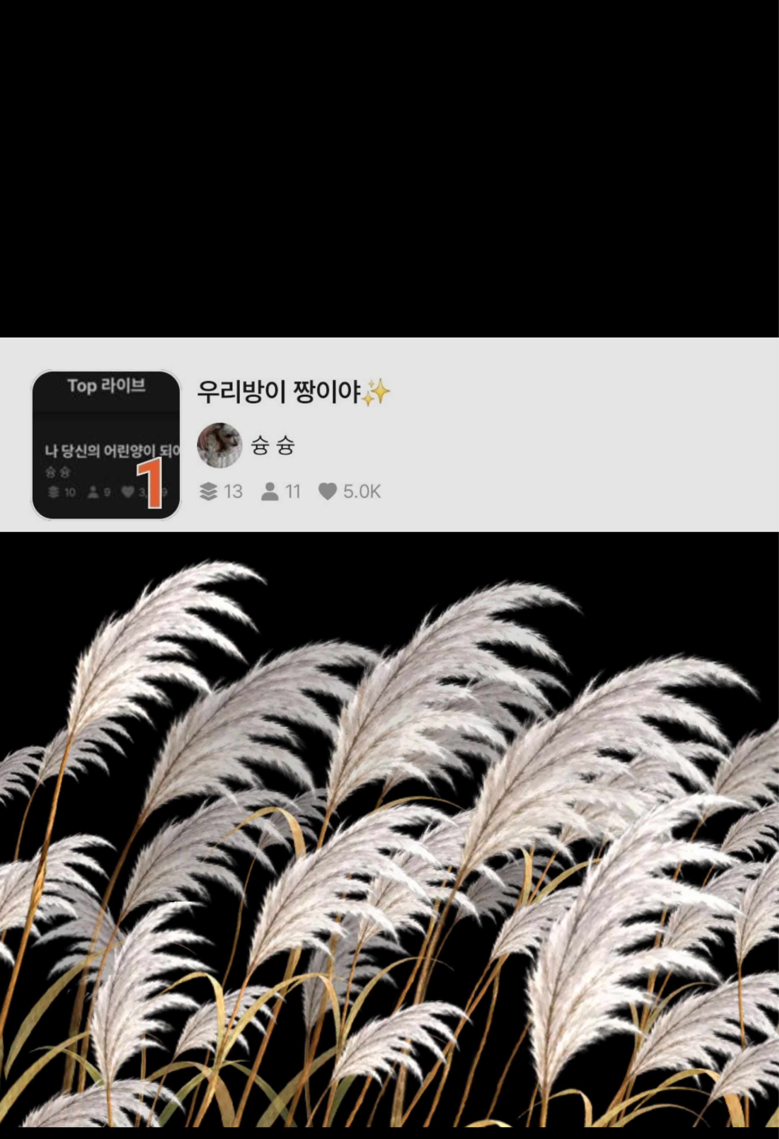 우리방이 짱이야✨