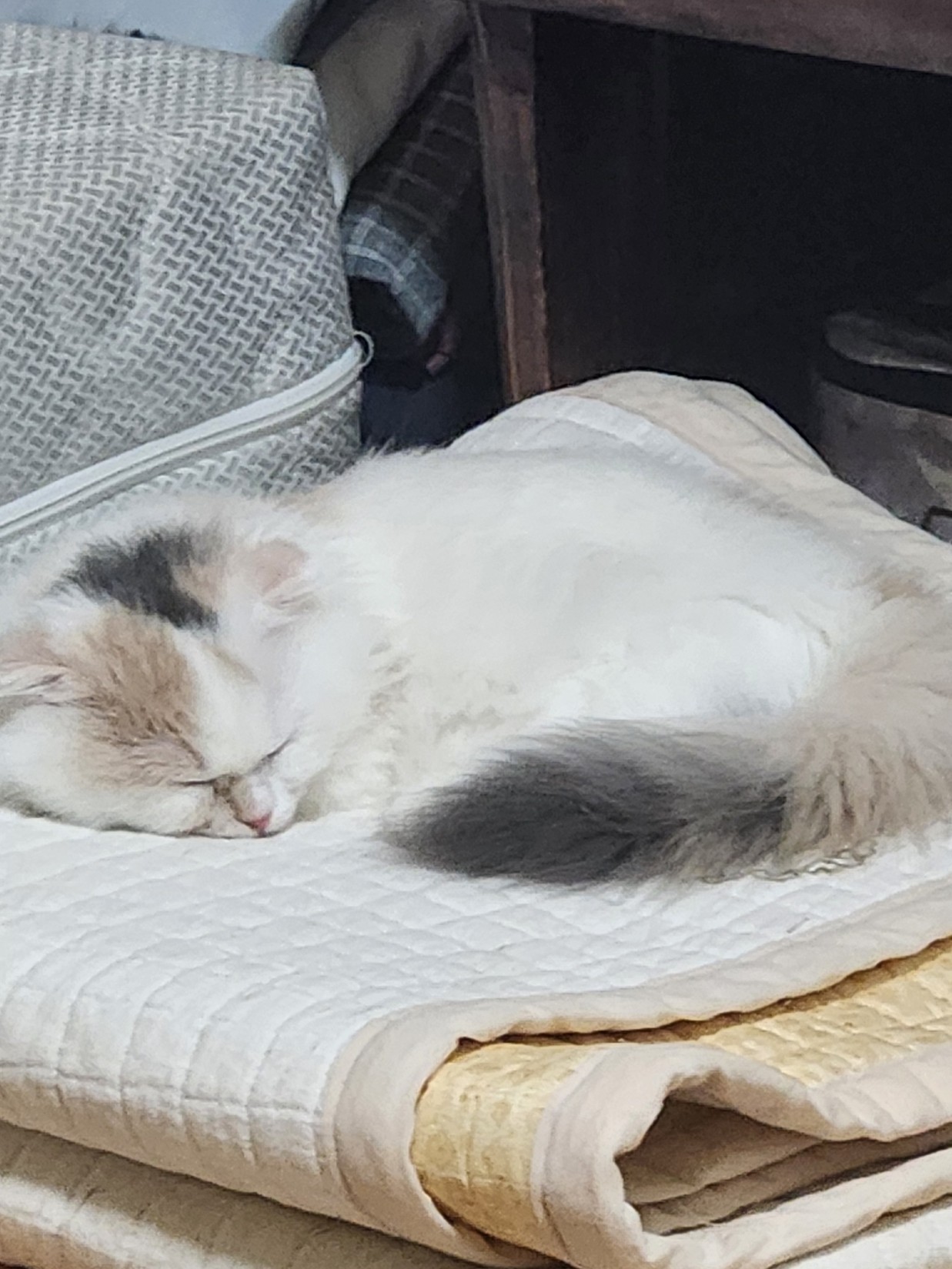 놀자요