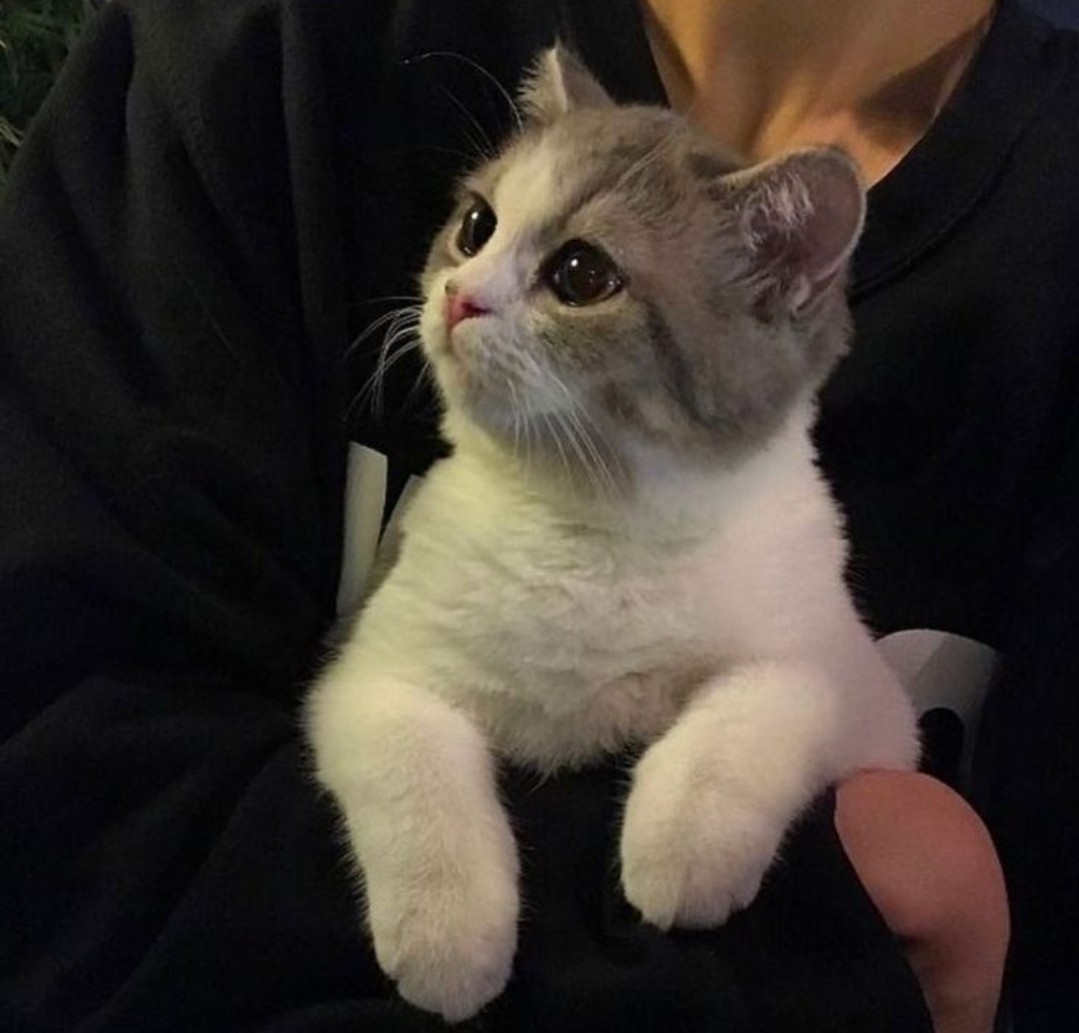 오늘의 어두움을 따 스 함 으로