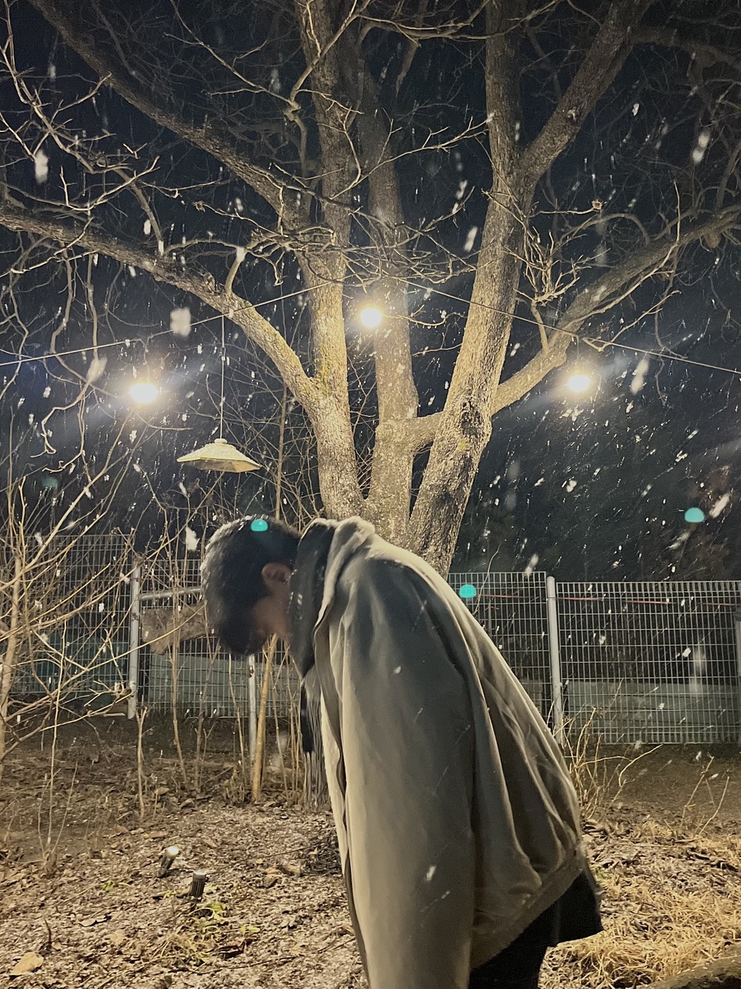 정착하기 좋은 