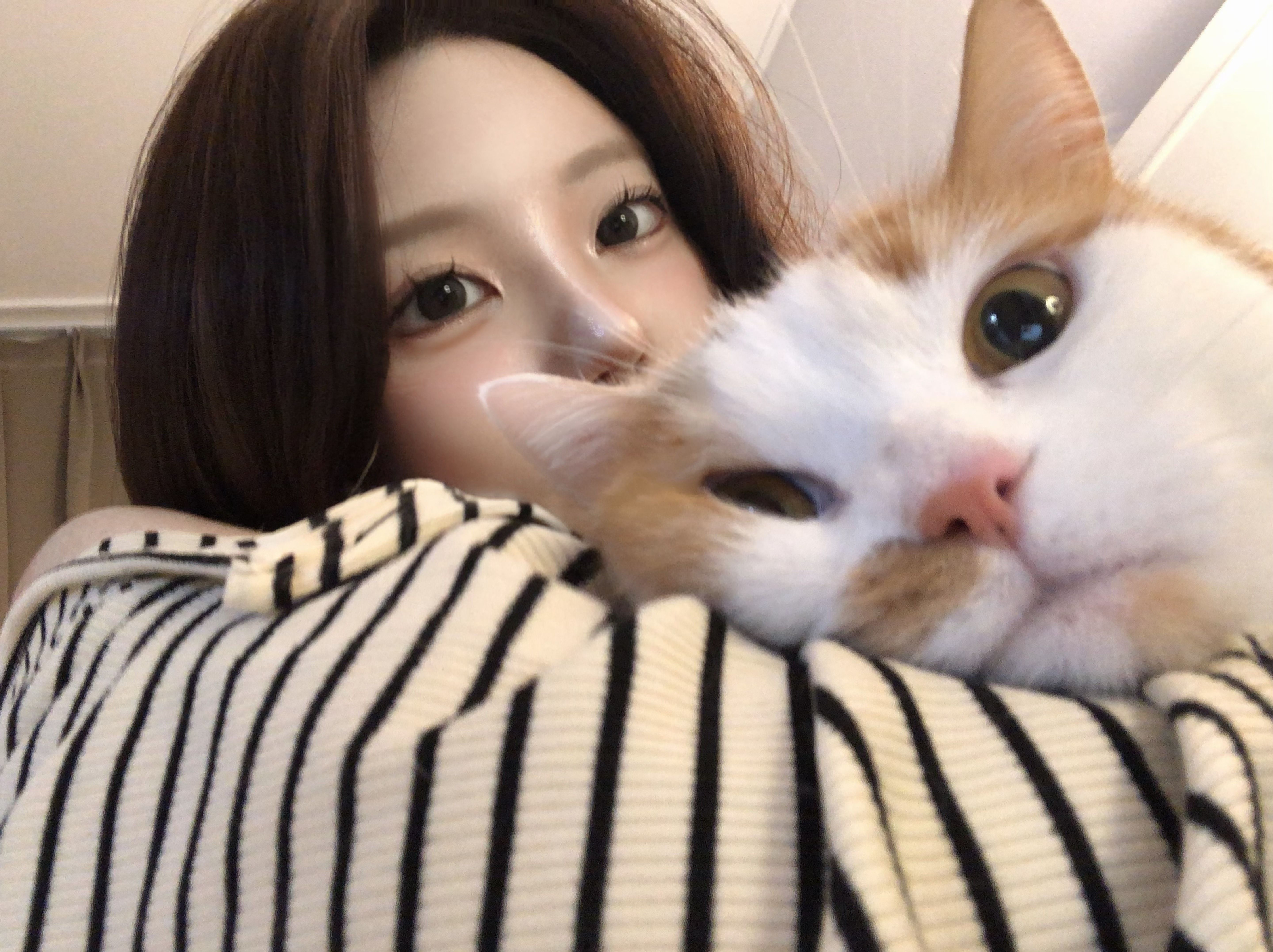 진~지? 엥 ~~?