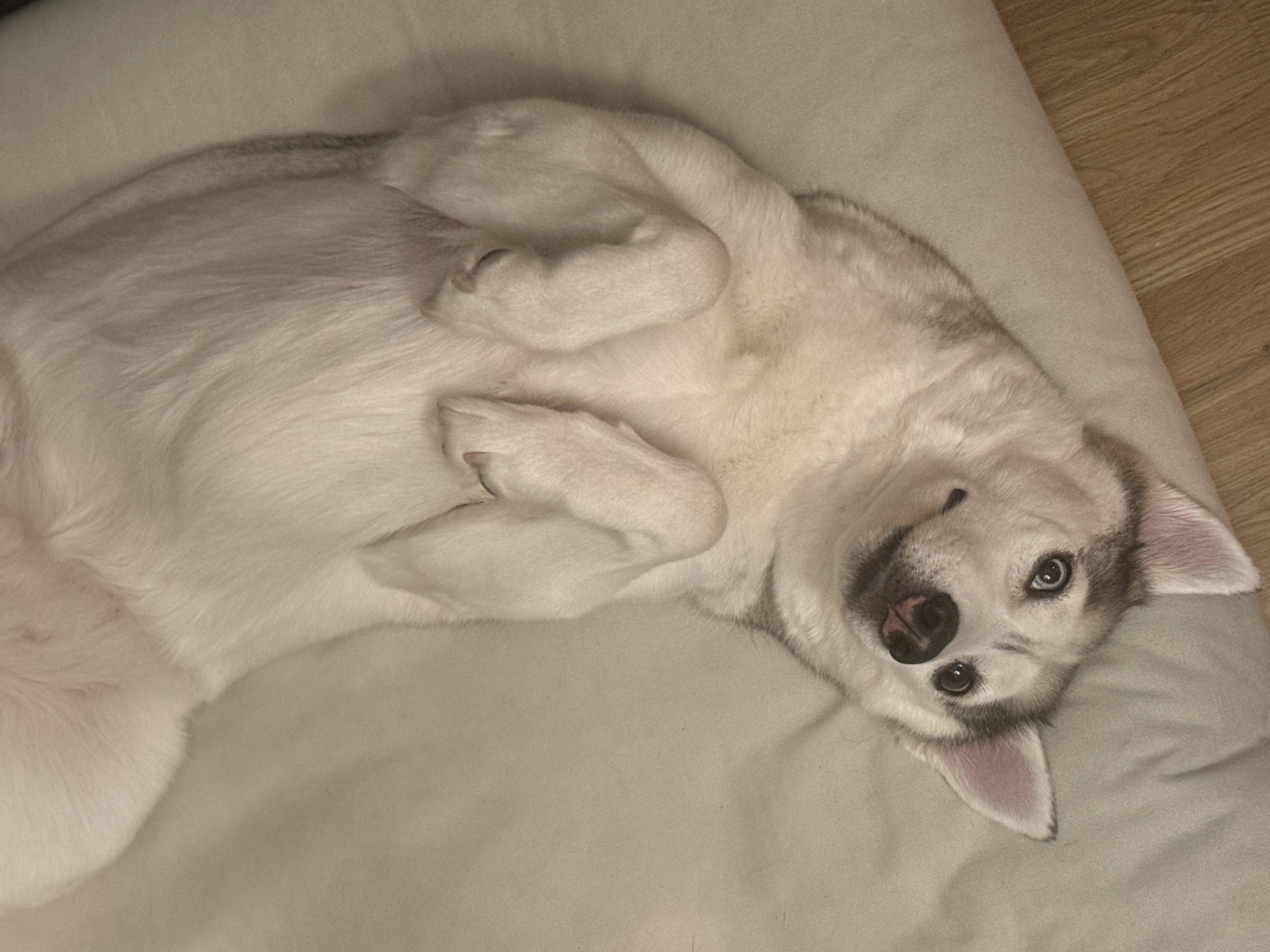 좋은 아침 입니다