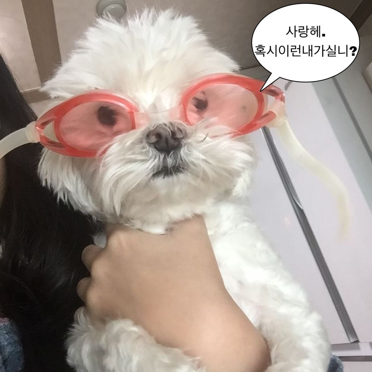 9월의 마지막 새벽,