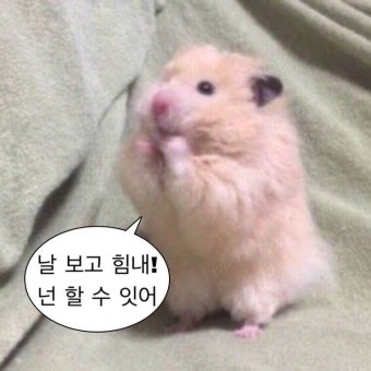 쿨쿨냠냠