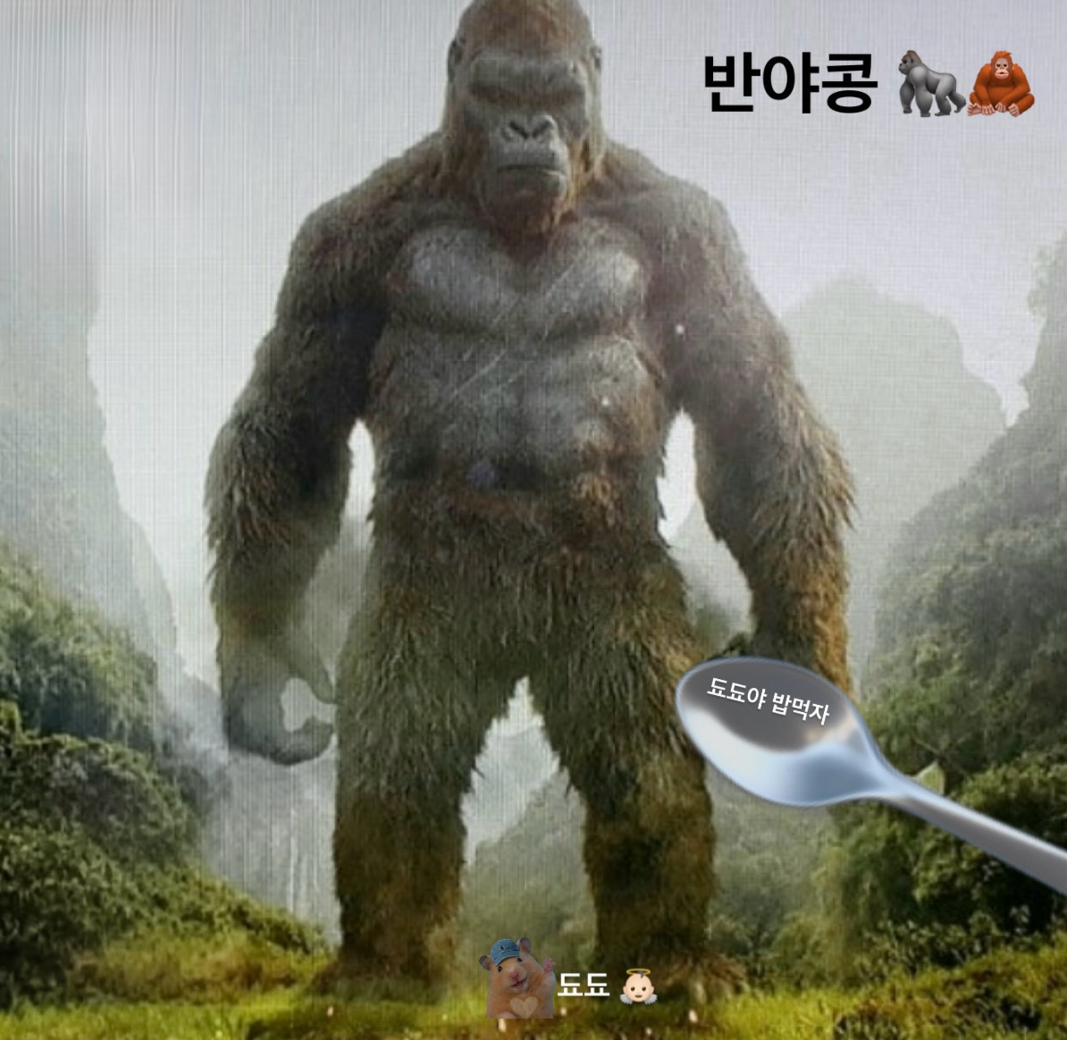 어서오됴