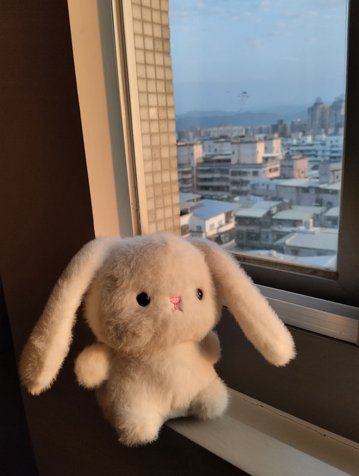 🌙점사 보러올래?🌙