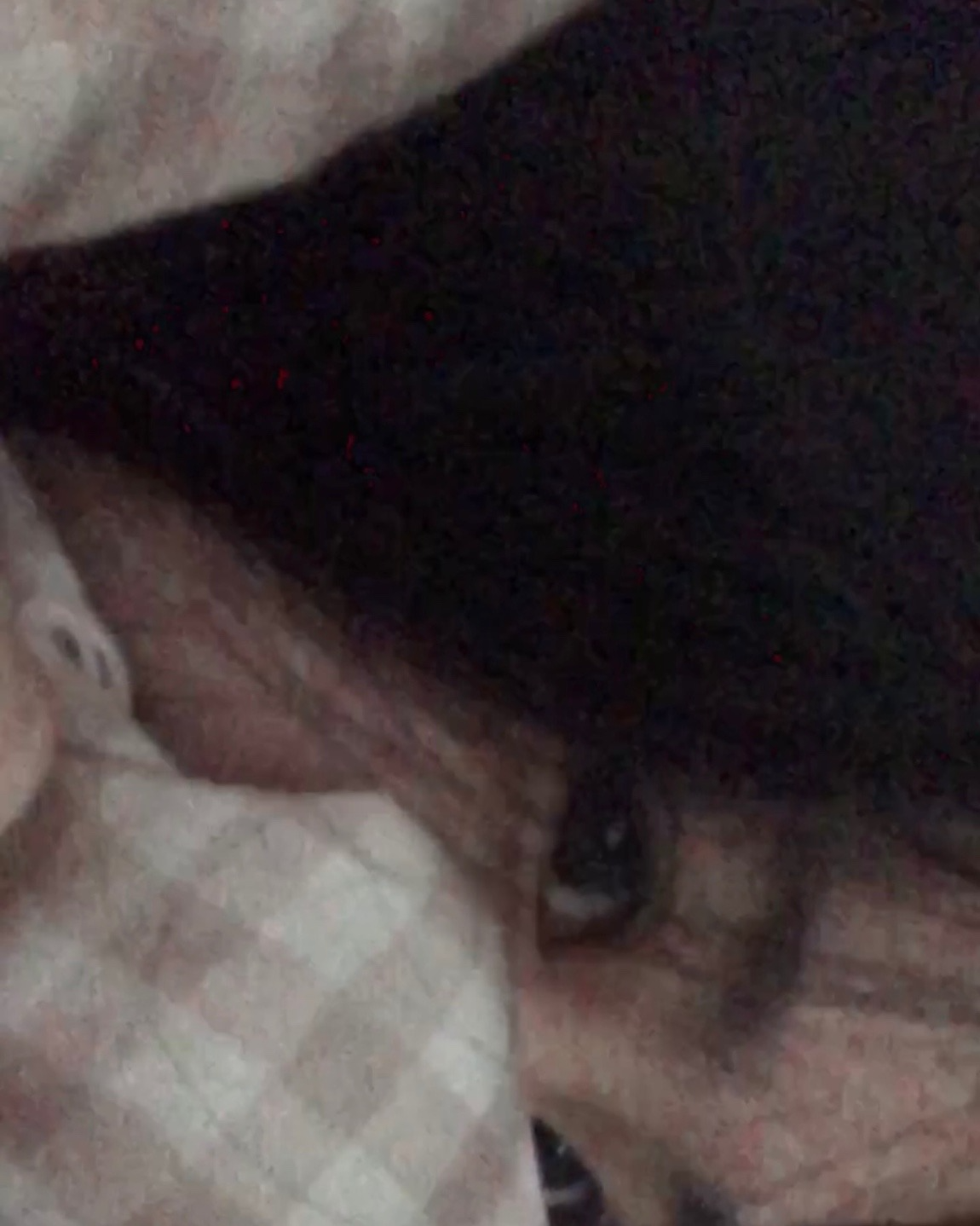 ❝일찍 일어나는 새가 벌레를 싫어해❞