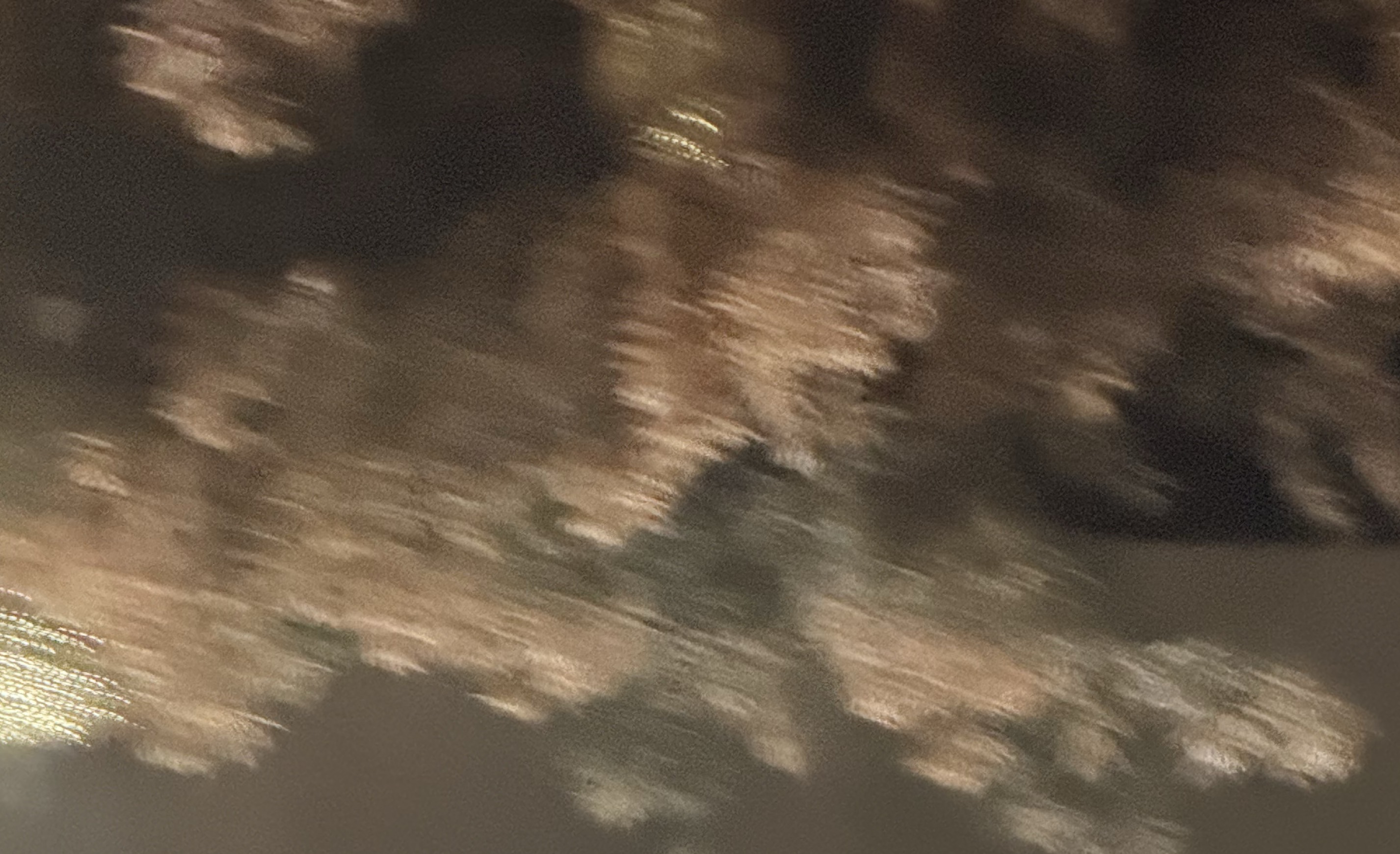 우중중