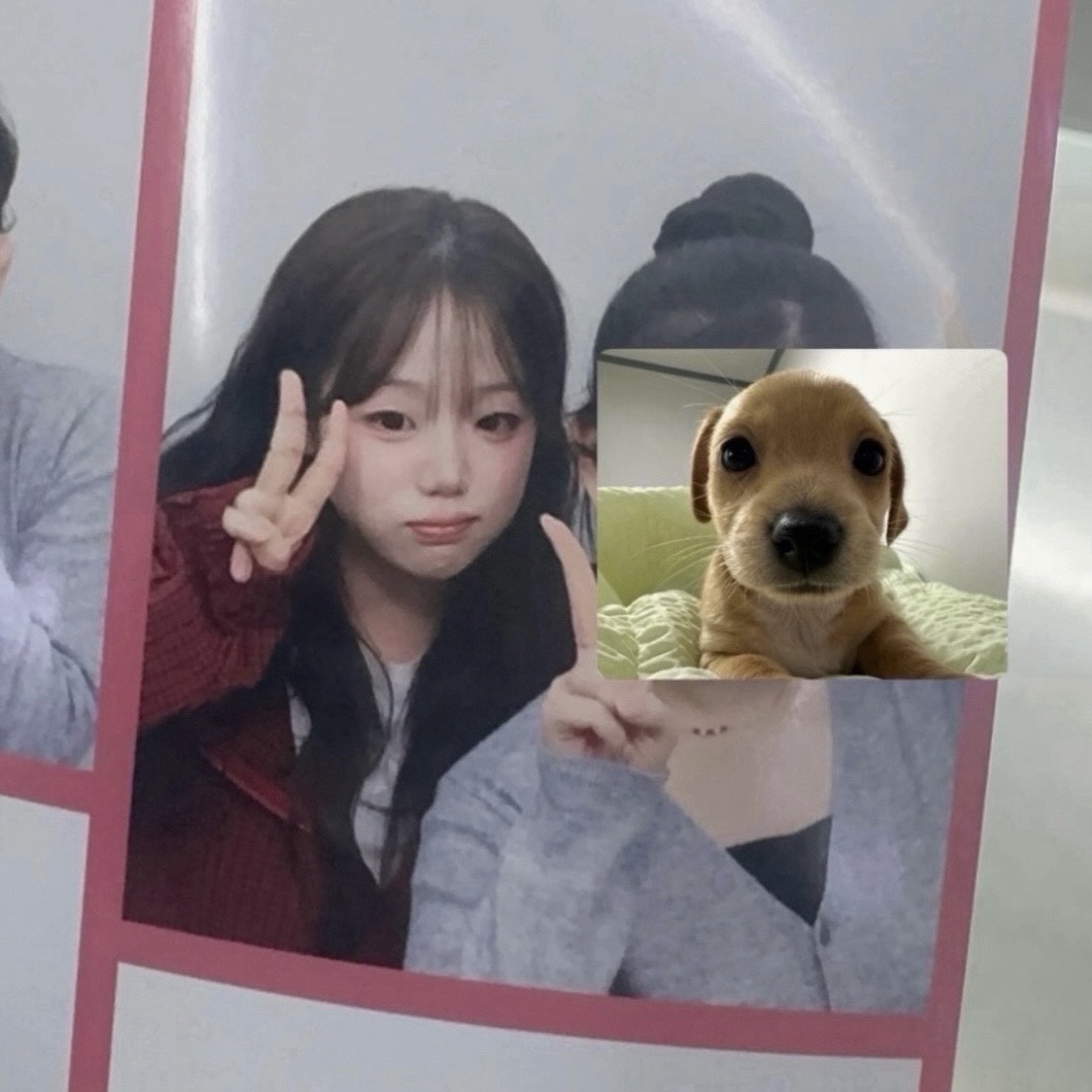 오이데