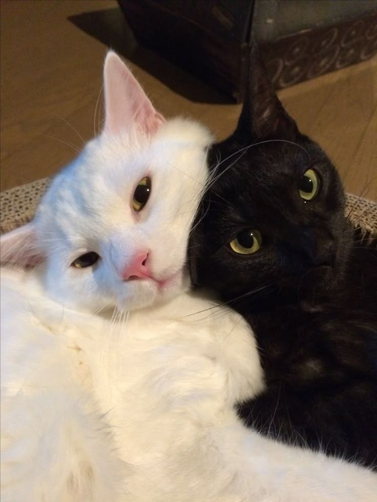 노동잉
