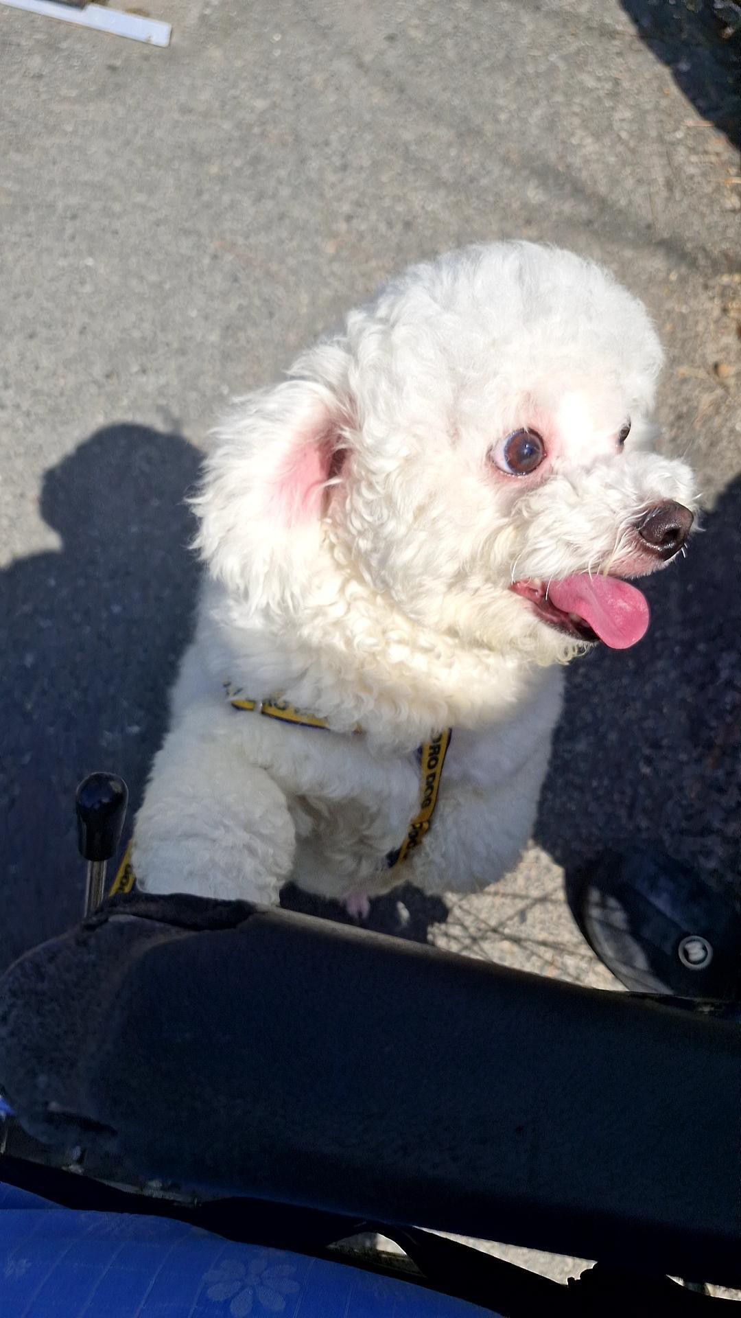 행복한방송