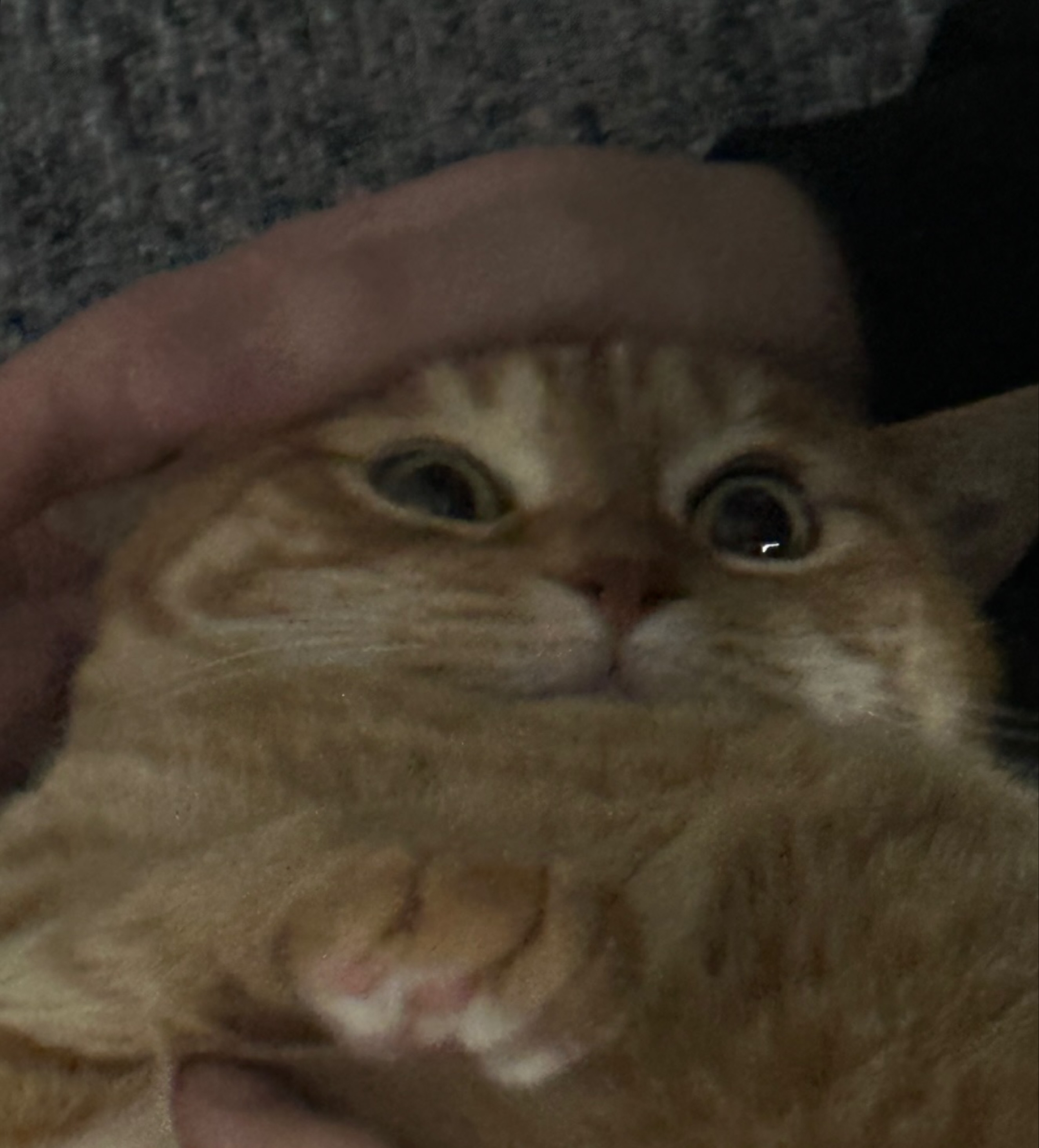 나도 ..