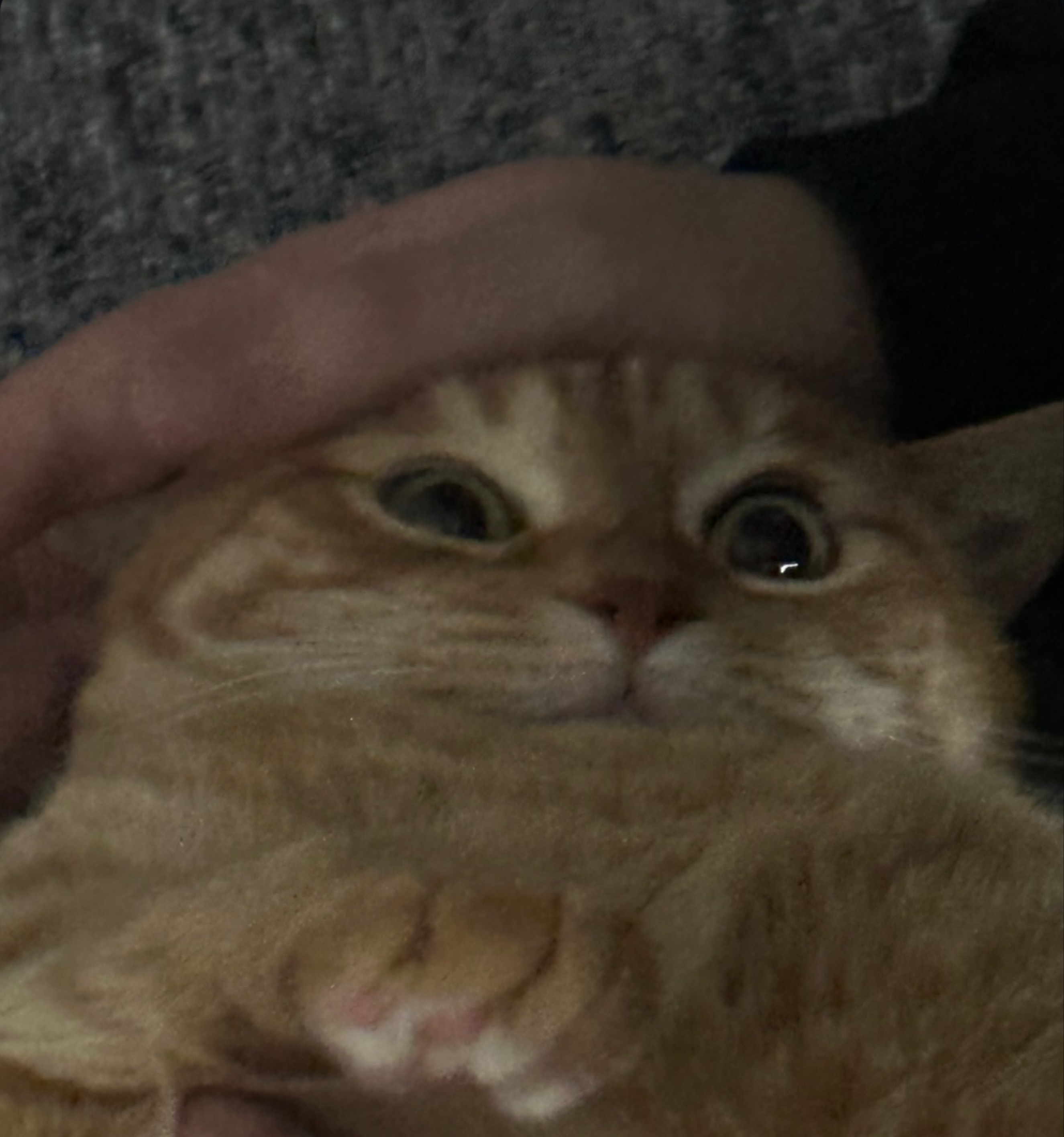 어딨ㄹ어 !
