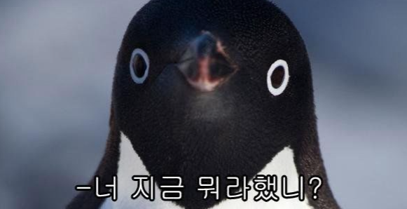 덜 아픈 노래 라이브