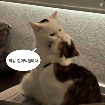 들어오세요