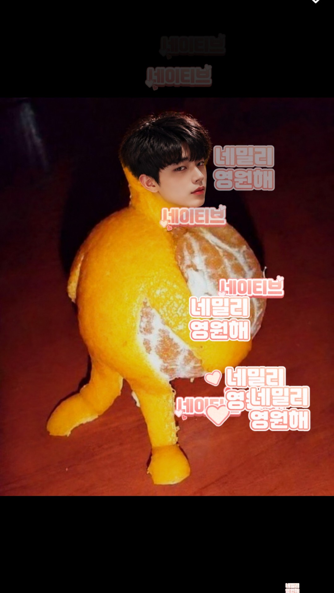네밀리& 오렌지들 고생 많았습니다