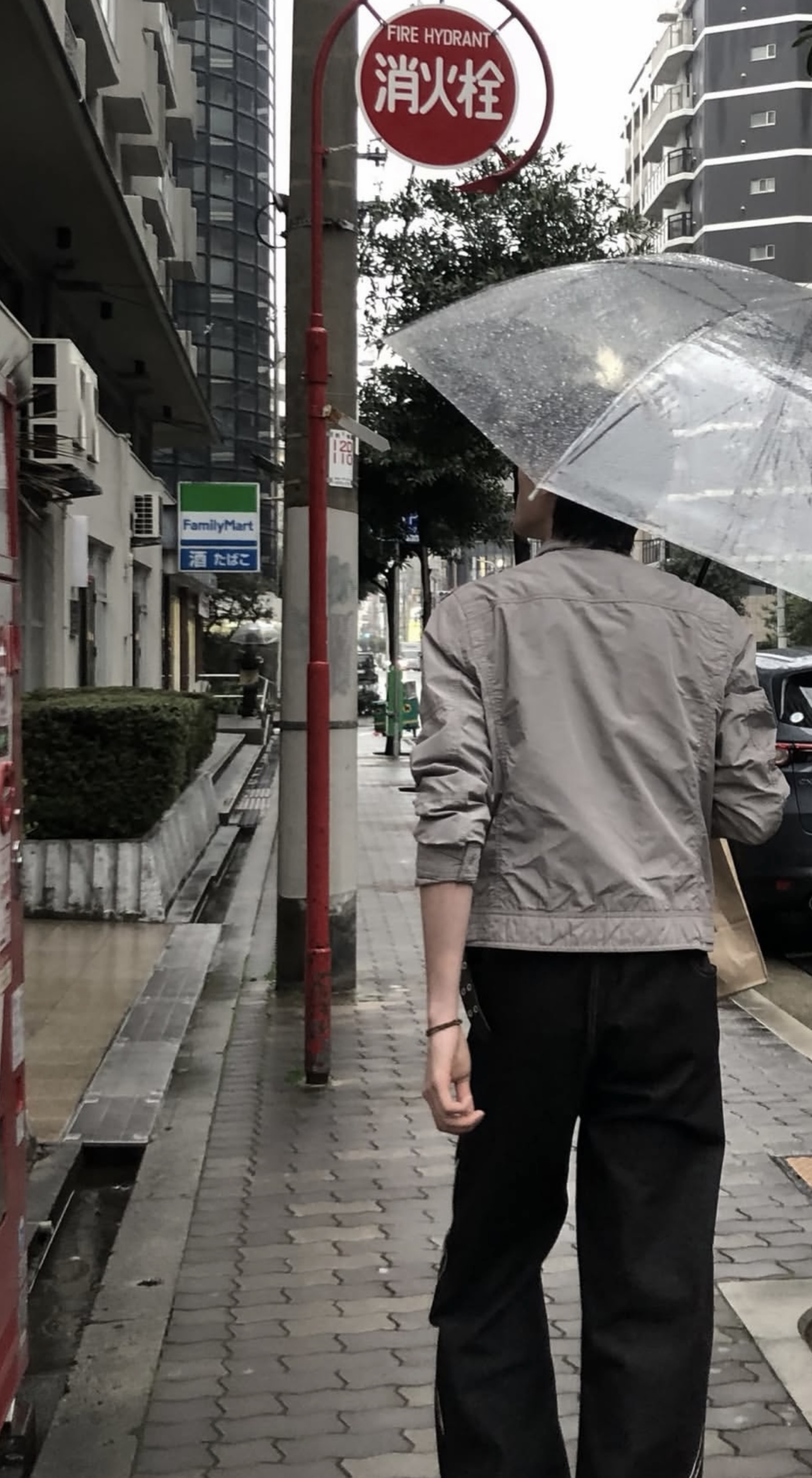 라콜,