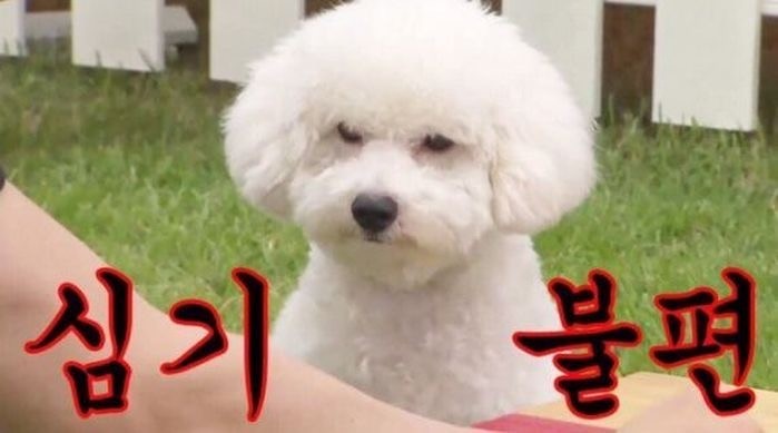 플리, 펀 딩 채 우 지 마!!!!!