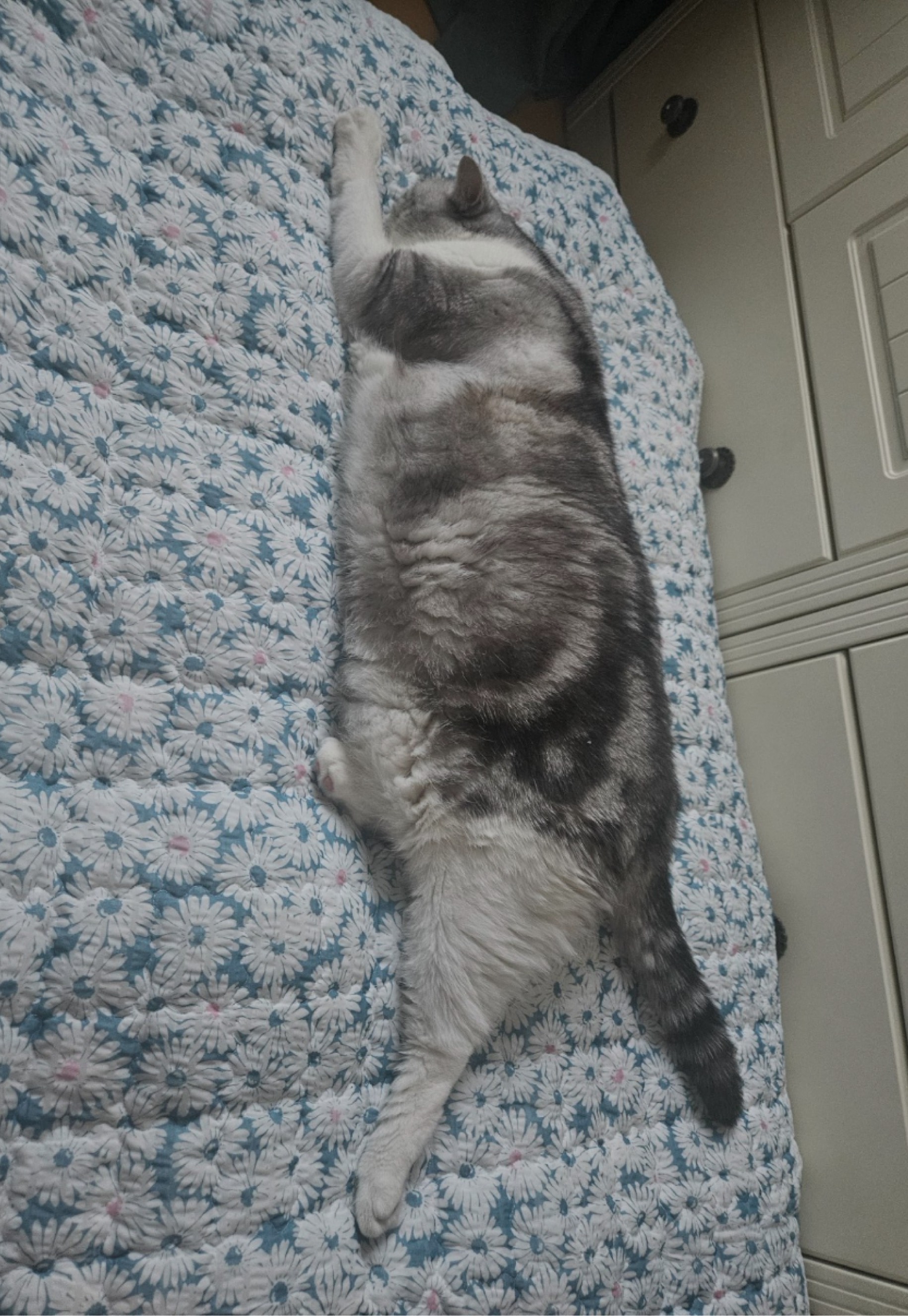 자고 싶은데 잠이 오질 않나요?