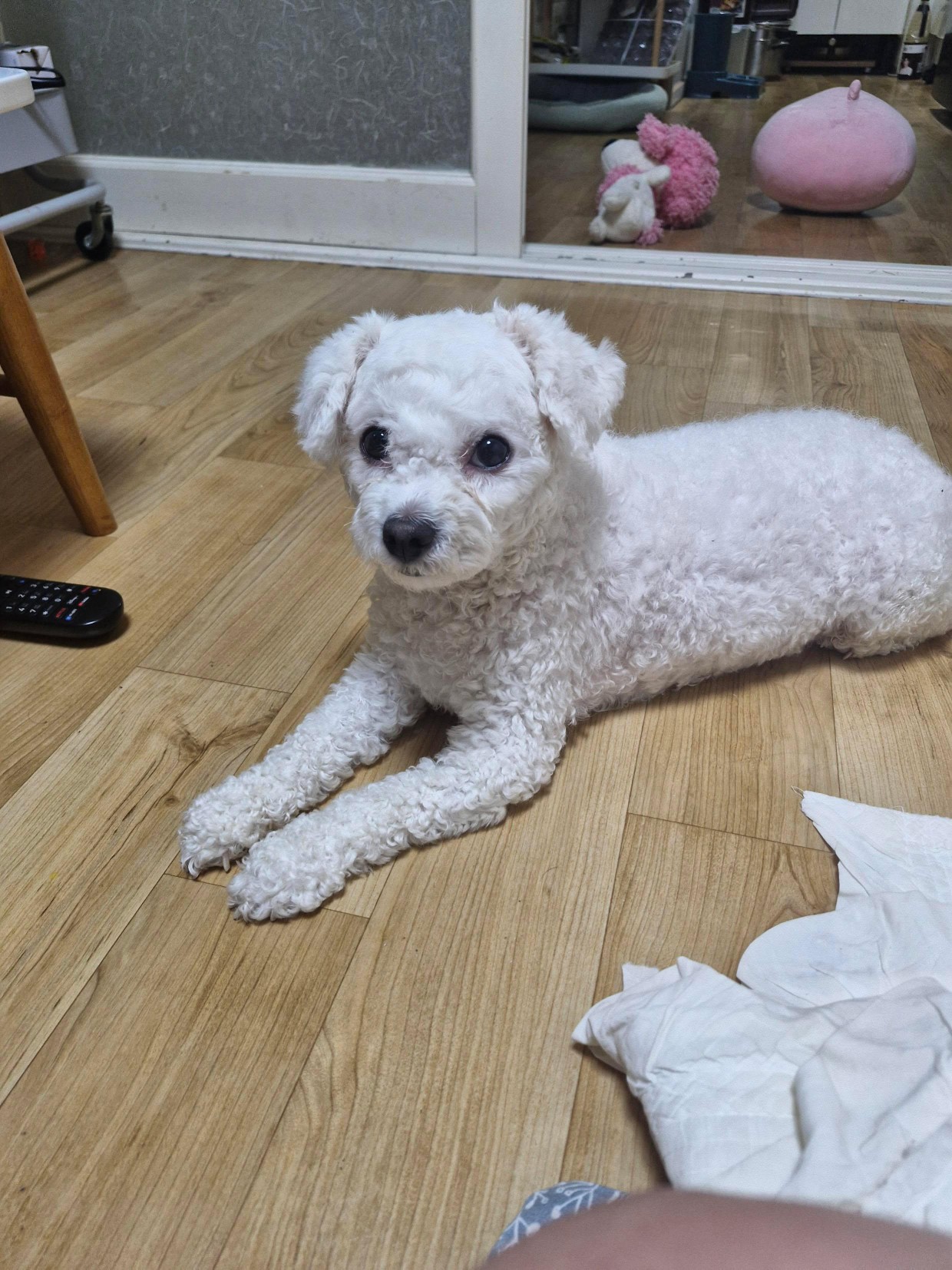 화목한방송