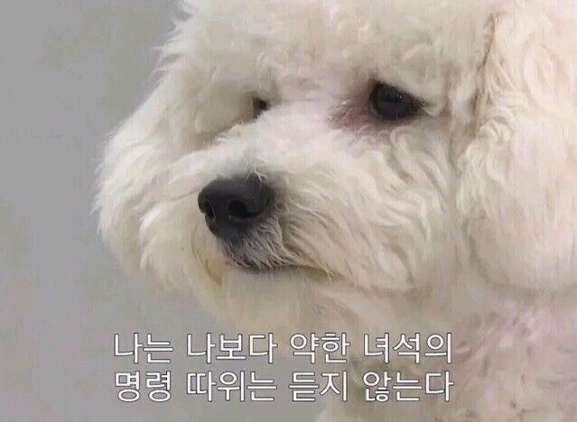 플리, 펀 딩 채 우 지 마!!!!!