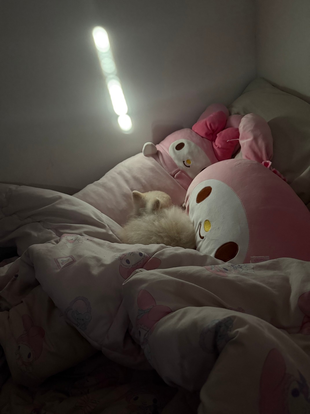 # 마감마감 진로진로공주