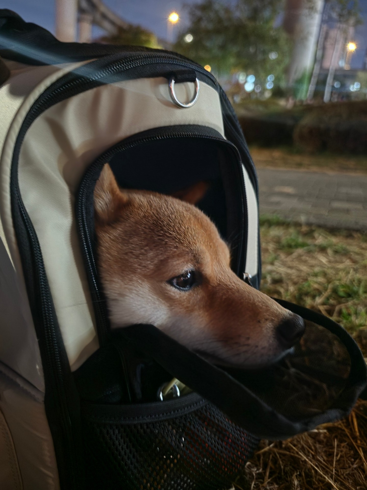 우유령 버스킹 다녀온 썰