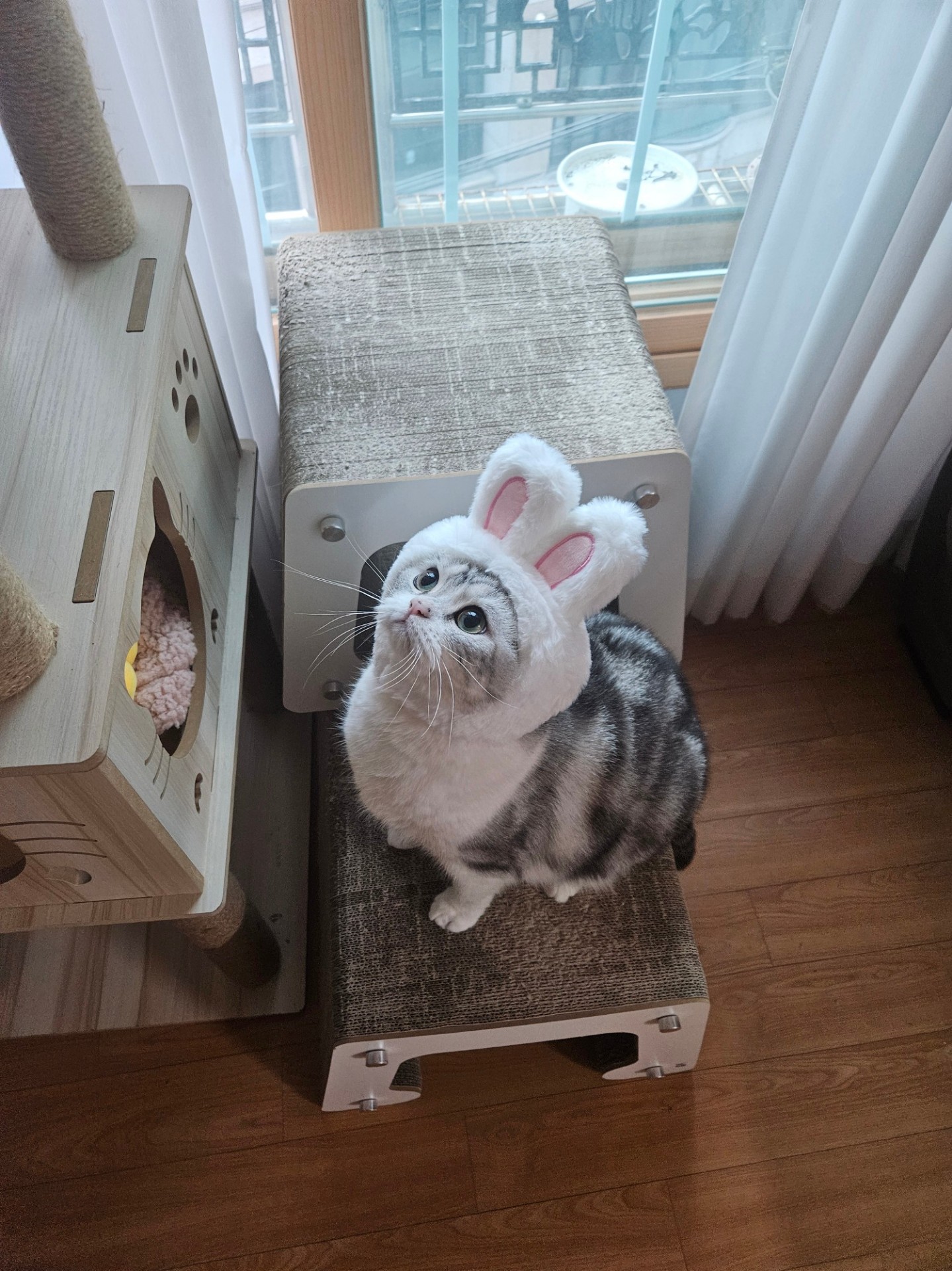 생각보다 괜찮은 방