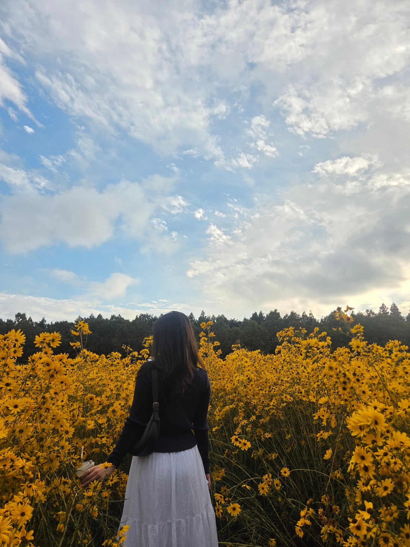 🍂 잔 잔