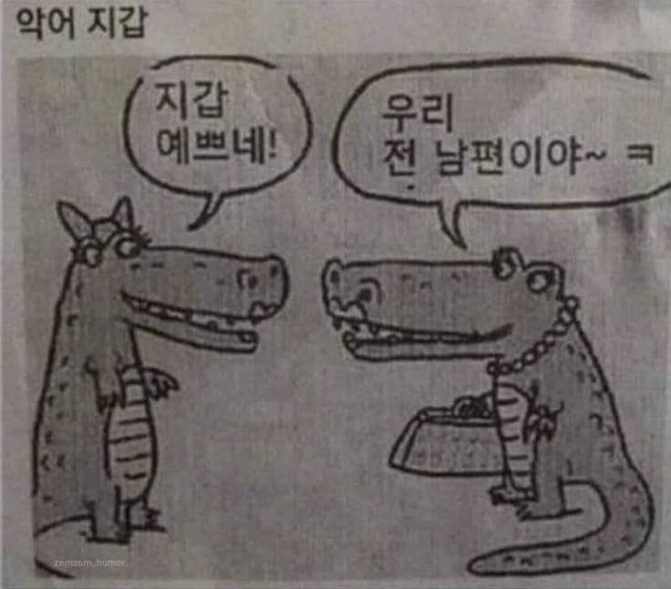 Do란Do란