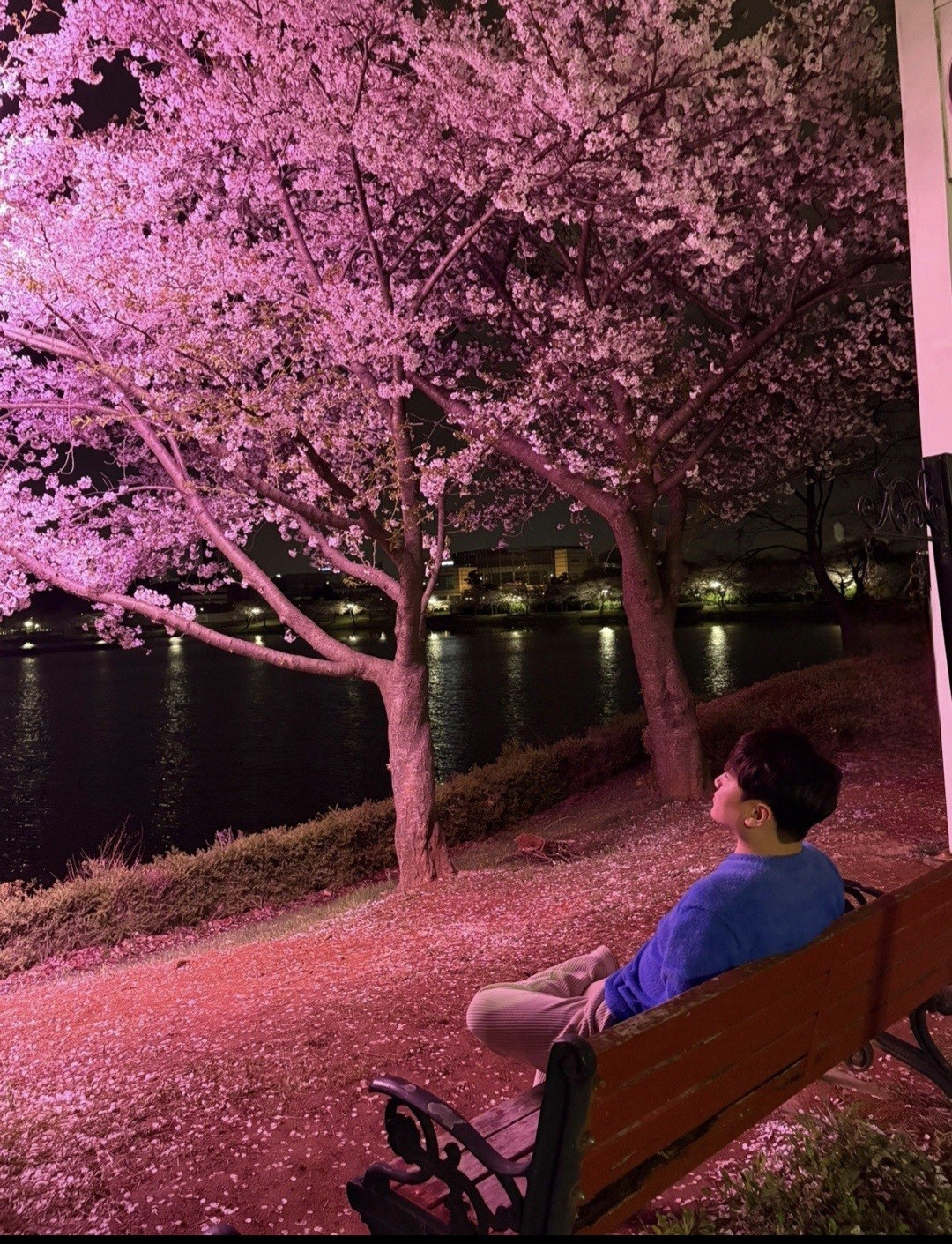 라콜 편하게