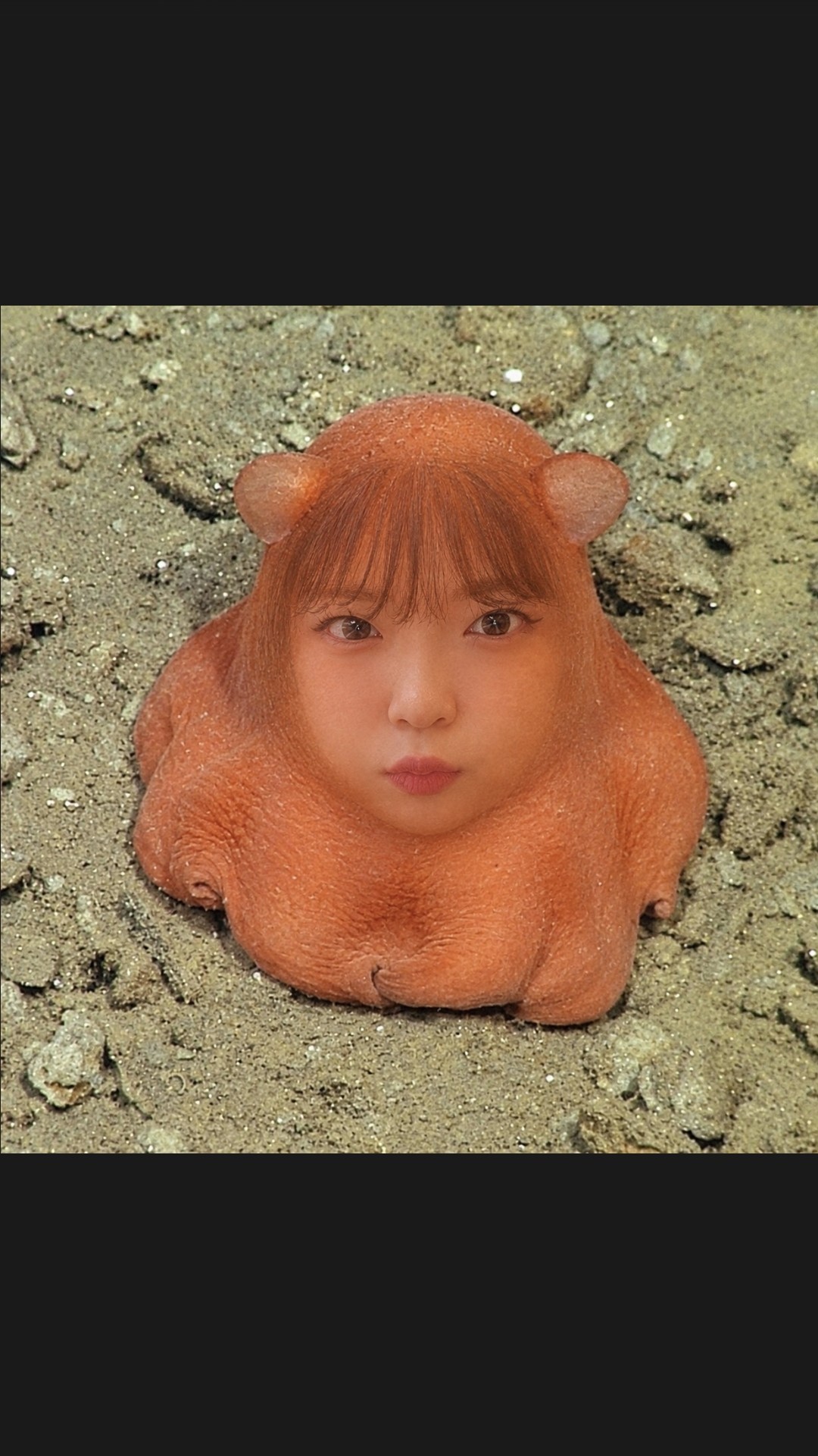 딩가딩가