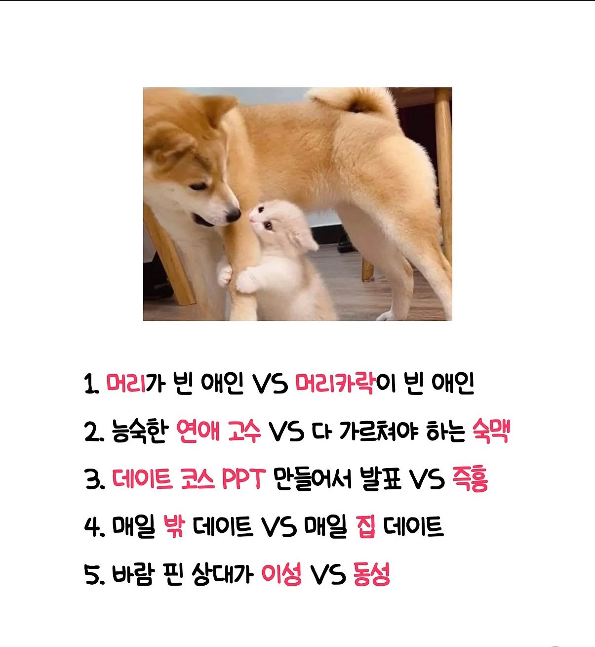 고작 화요일