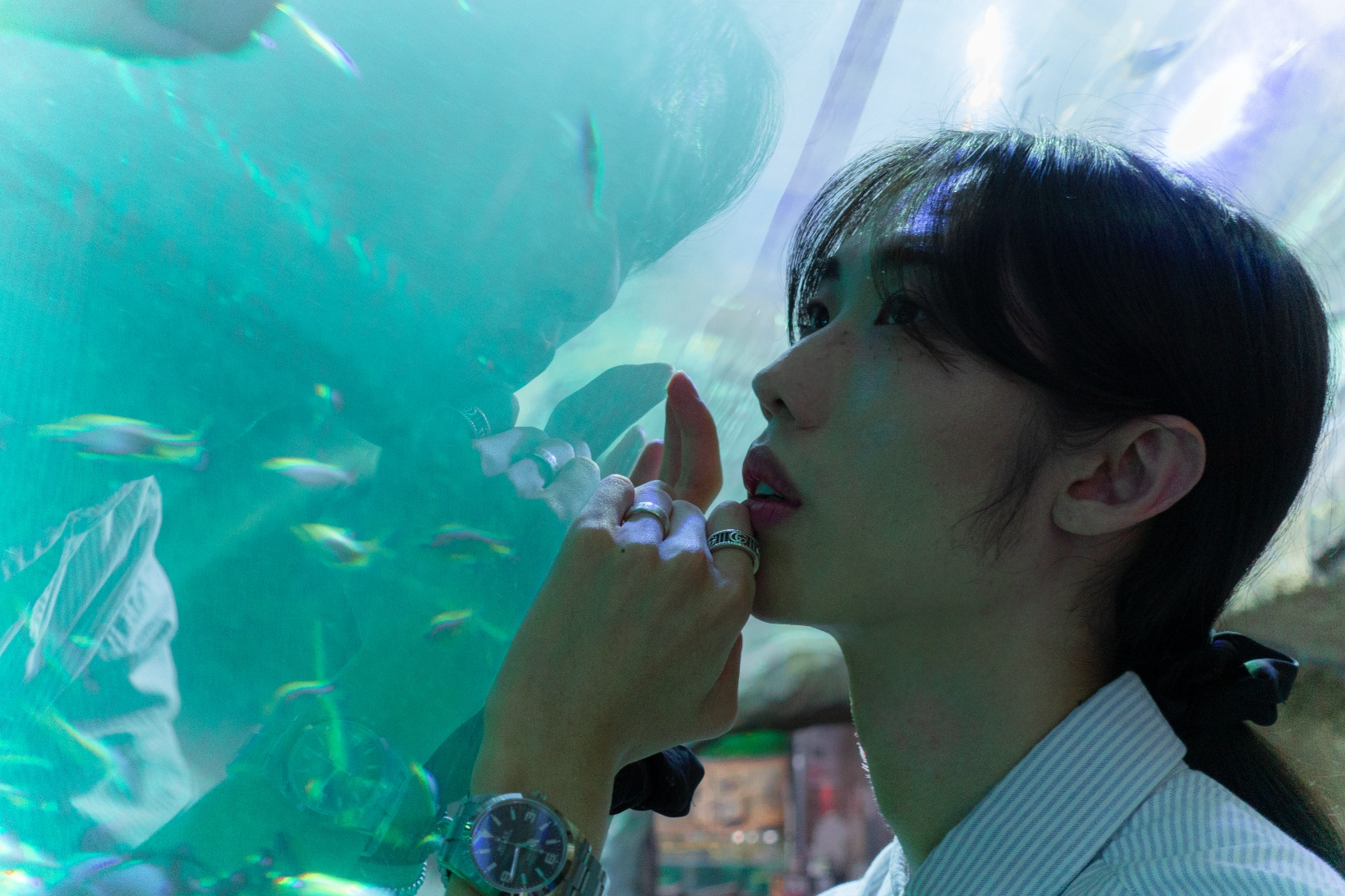 저 데려가서 키워주실분❤️