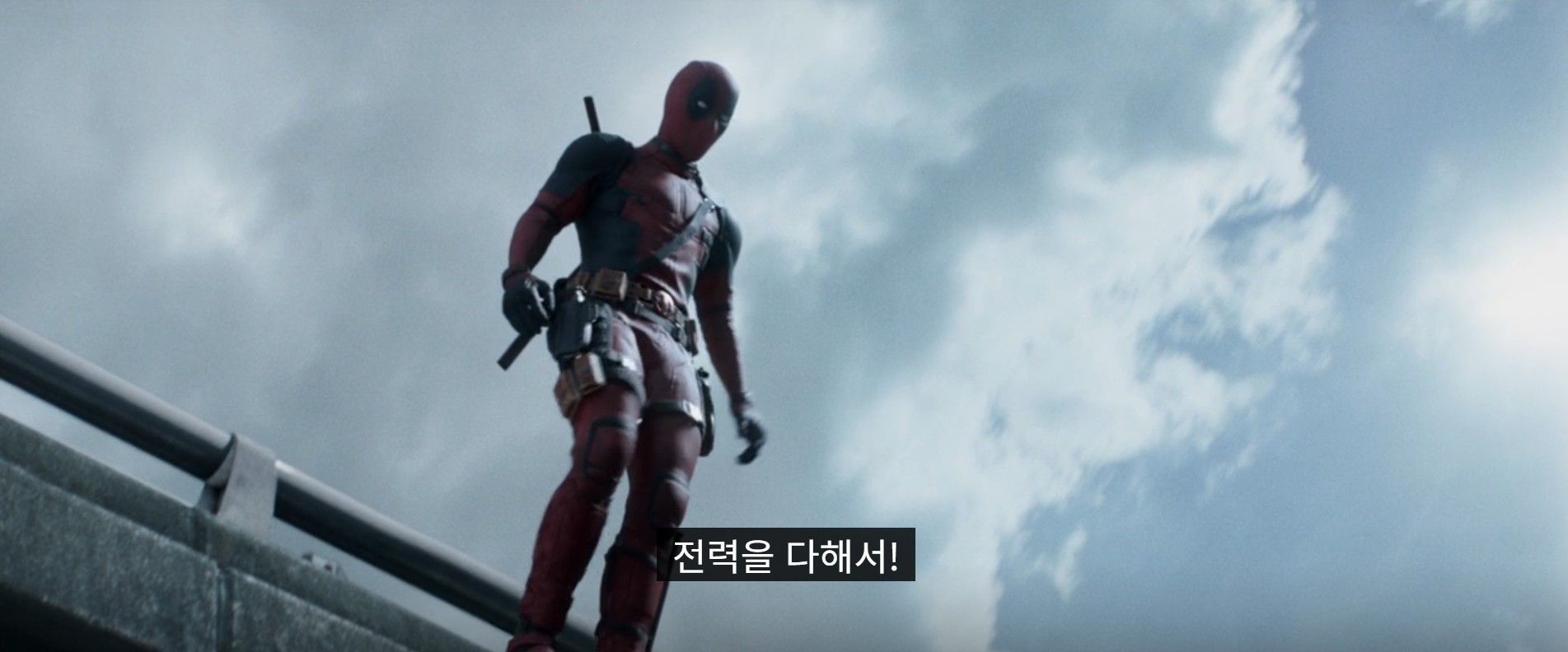 방제: 방제 추천해주세요
