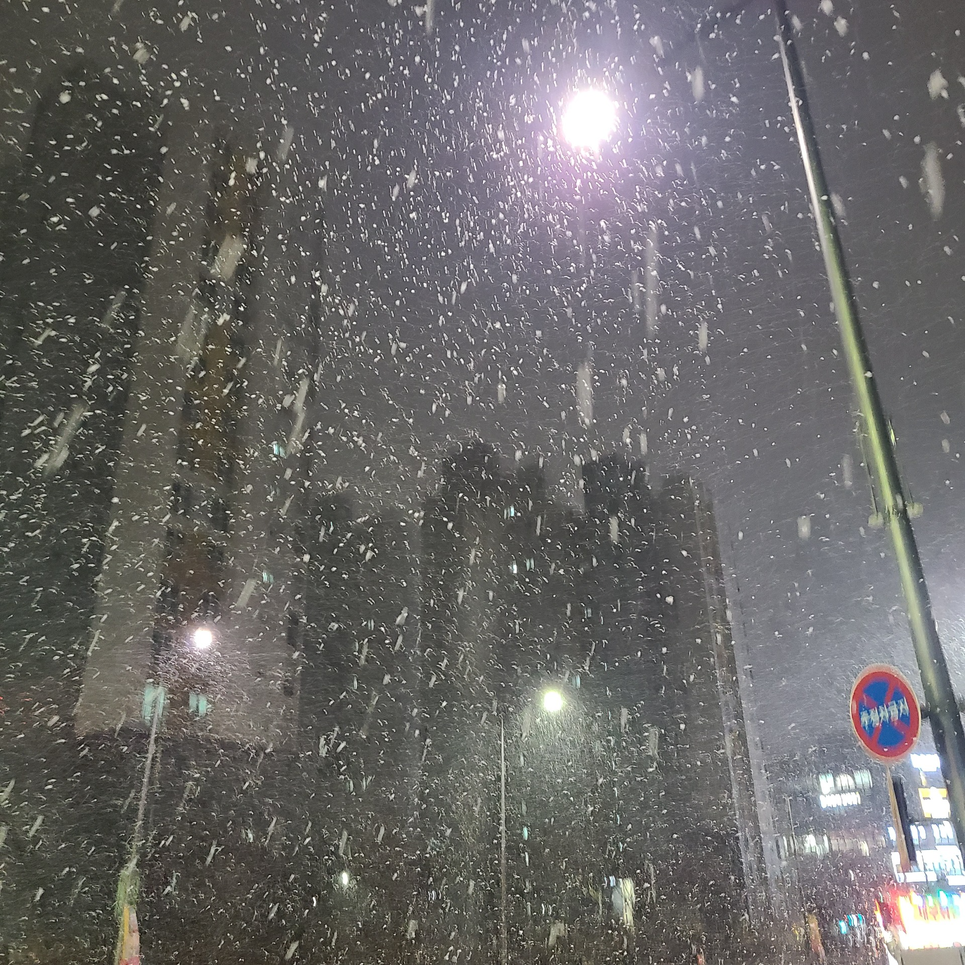 이봐, 젊은 친구야