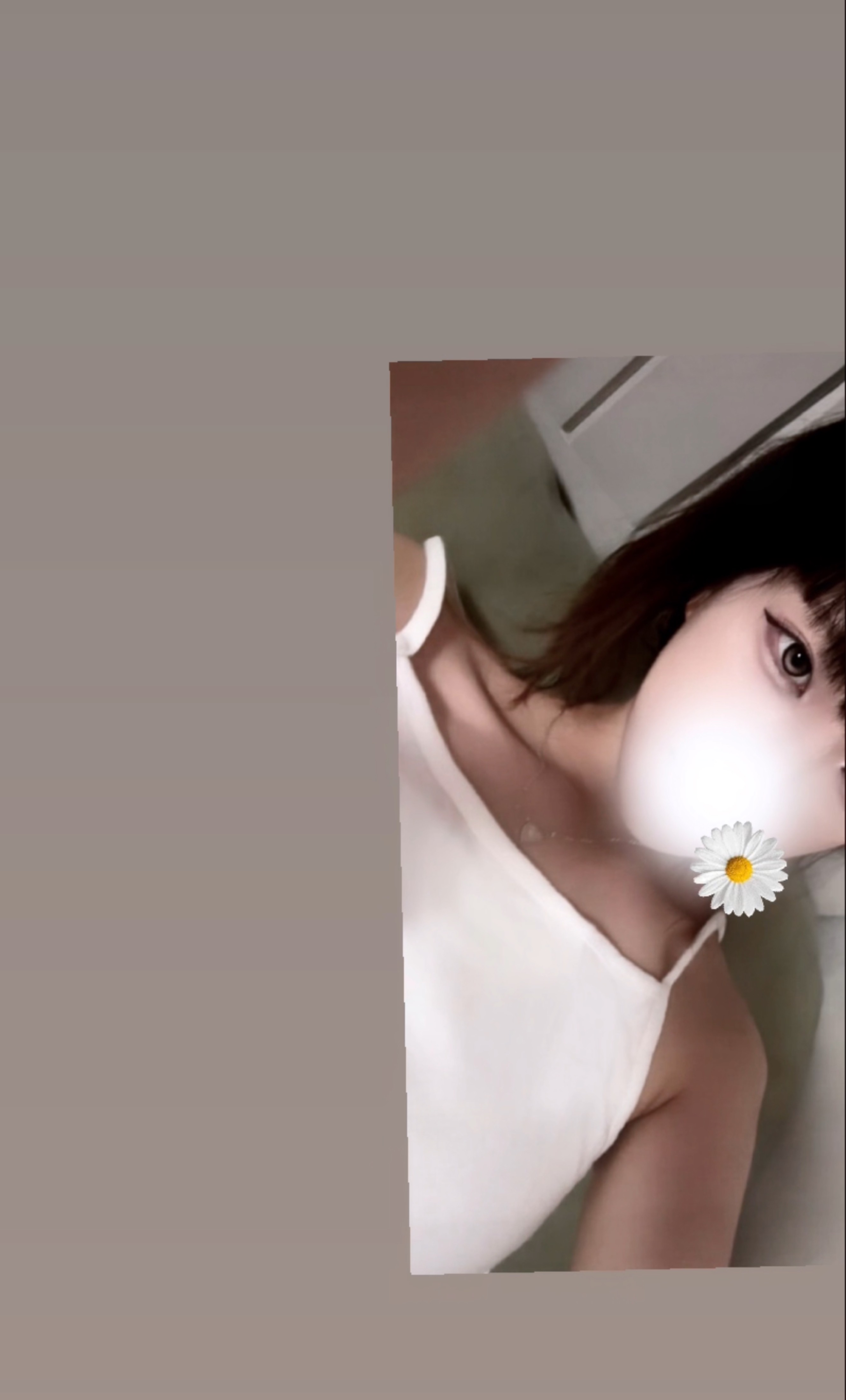 송씨집안..