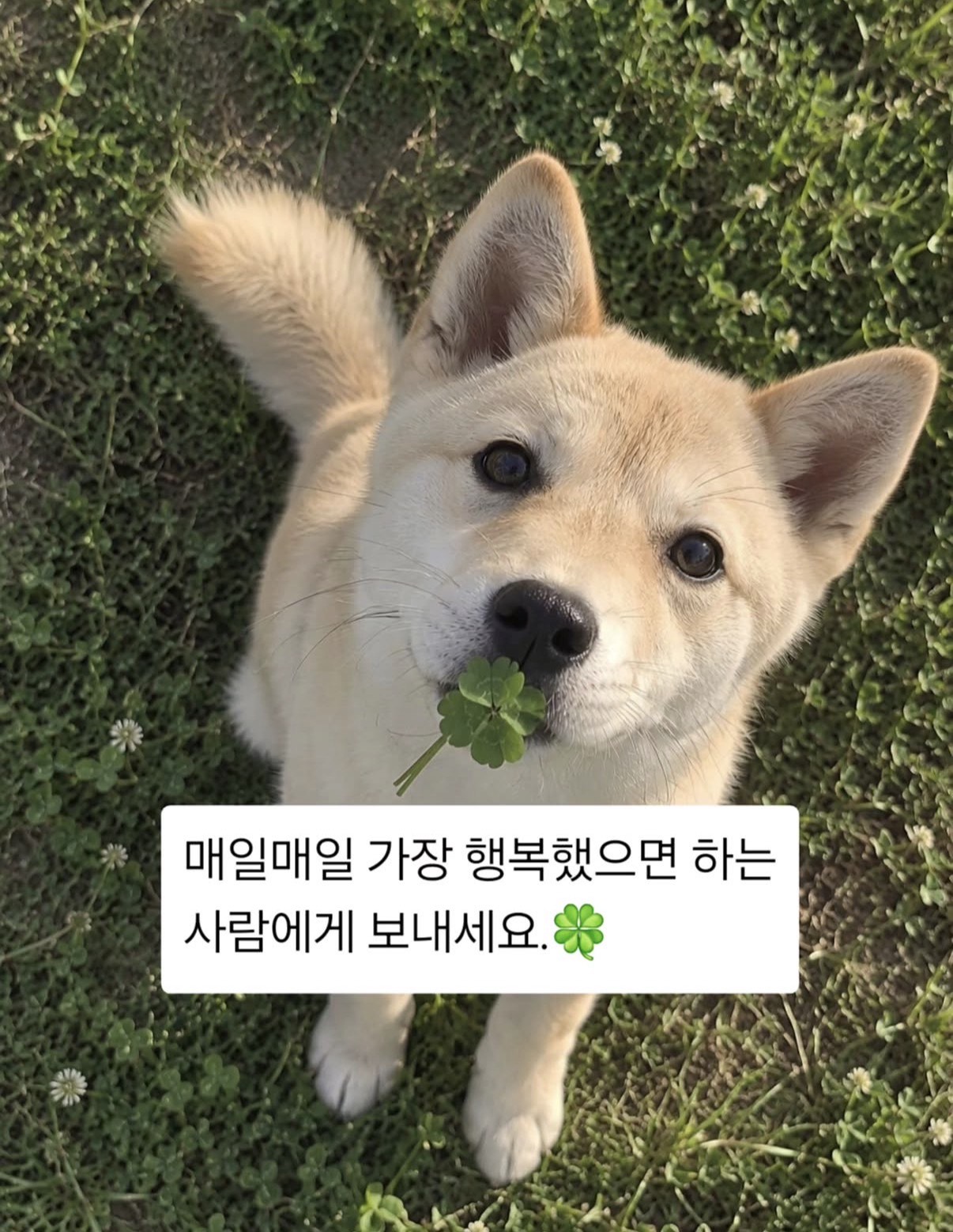하…..