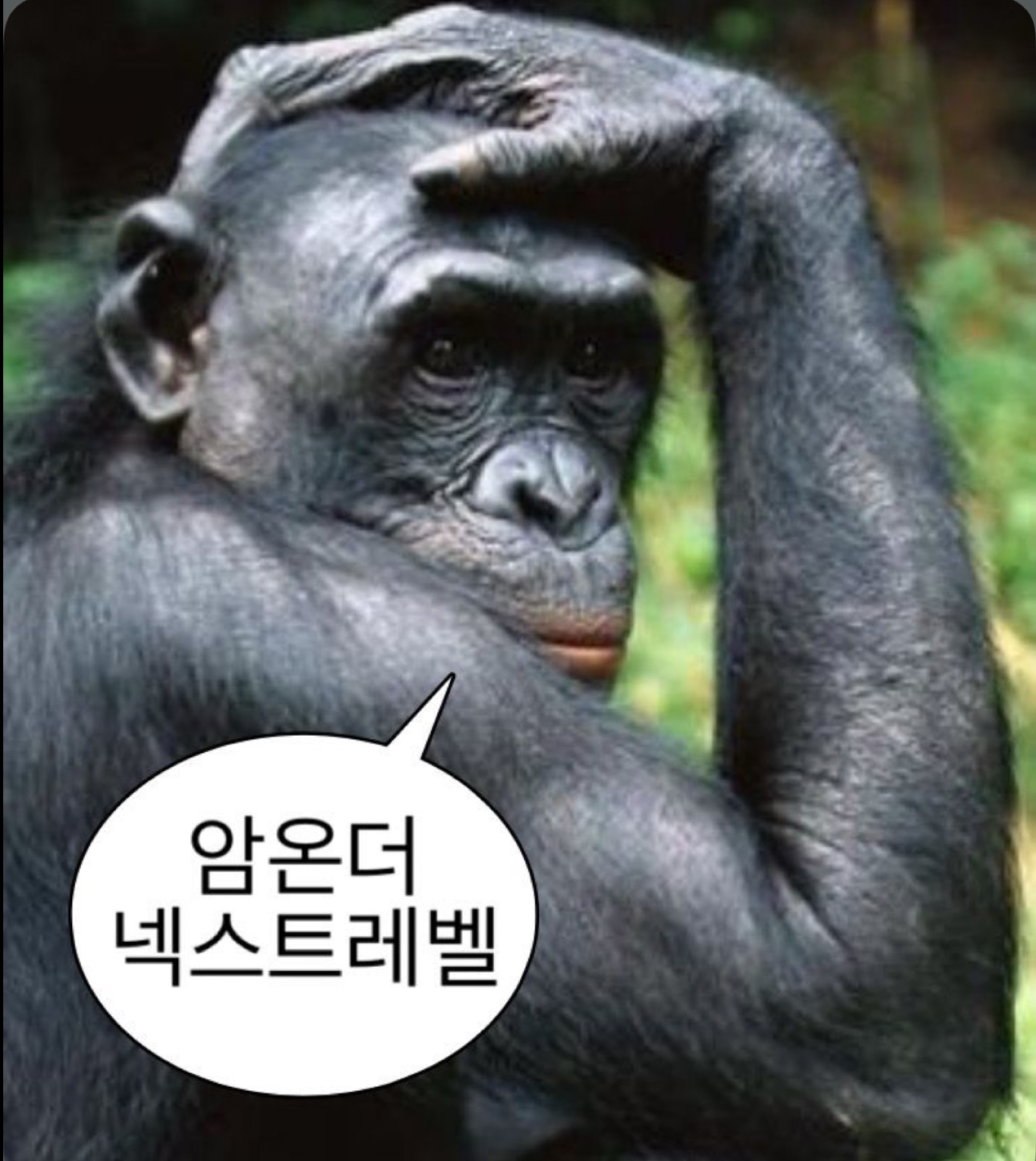 이곳저곳 가려워