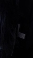 토요일 저녁, 최고의 선택