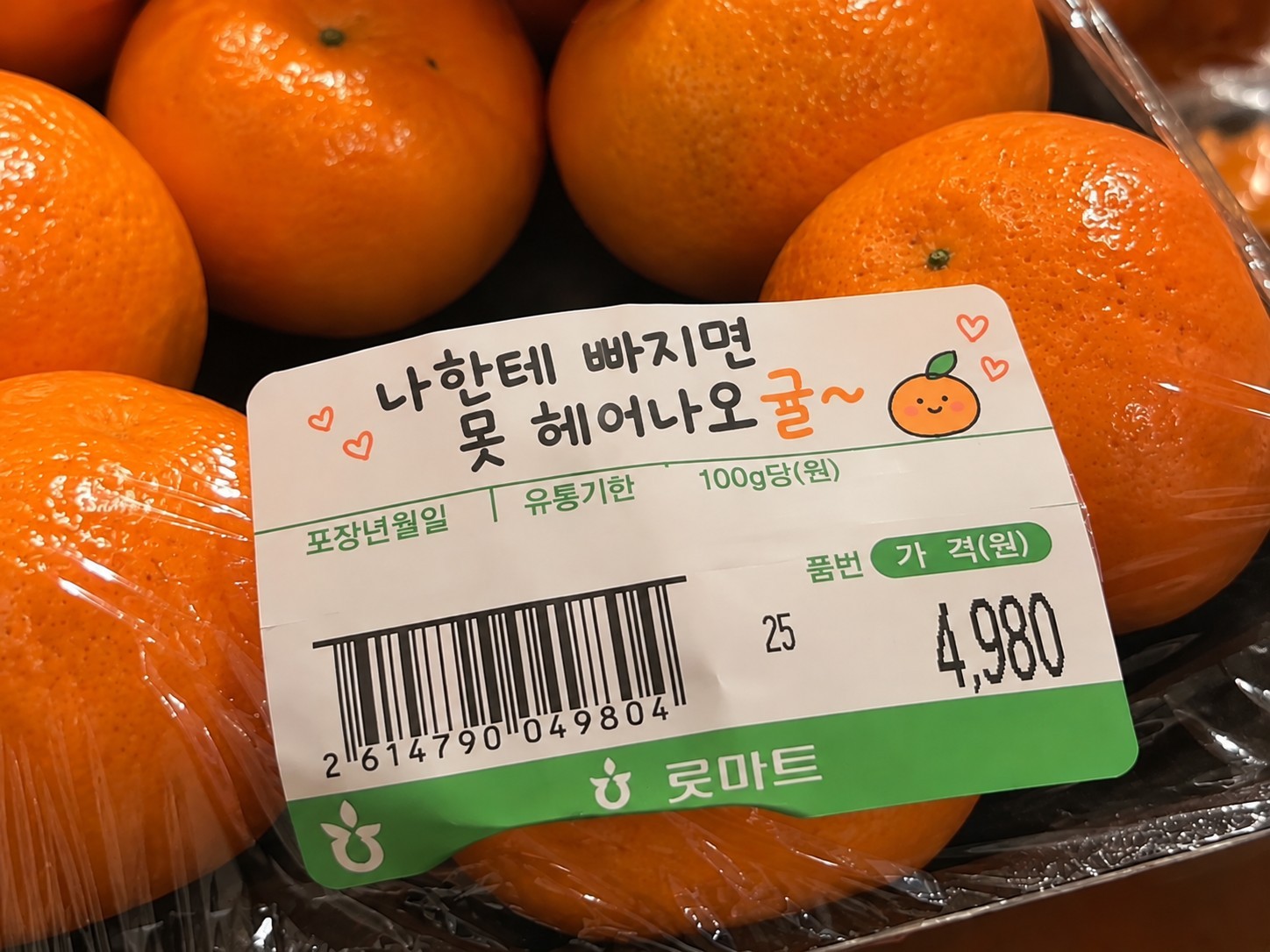 묭묭ㅇ
