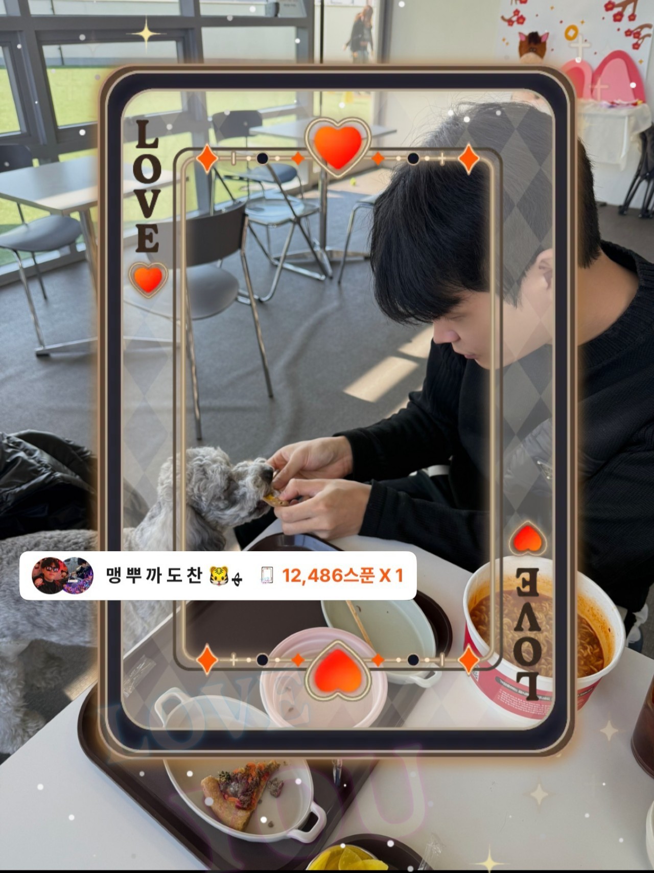 # 맹 호 소 개 팅 마 감