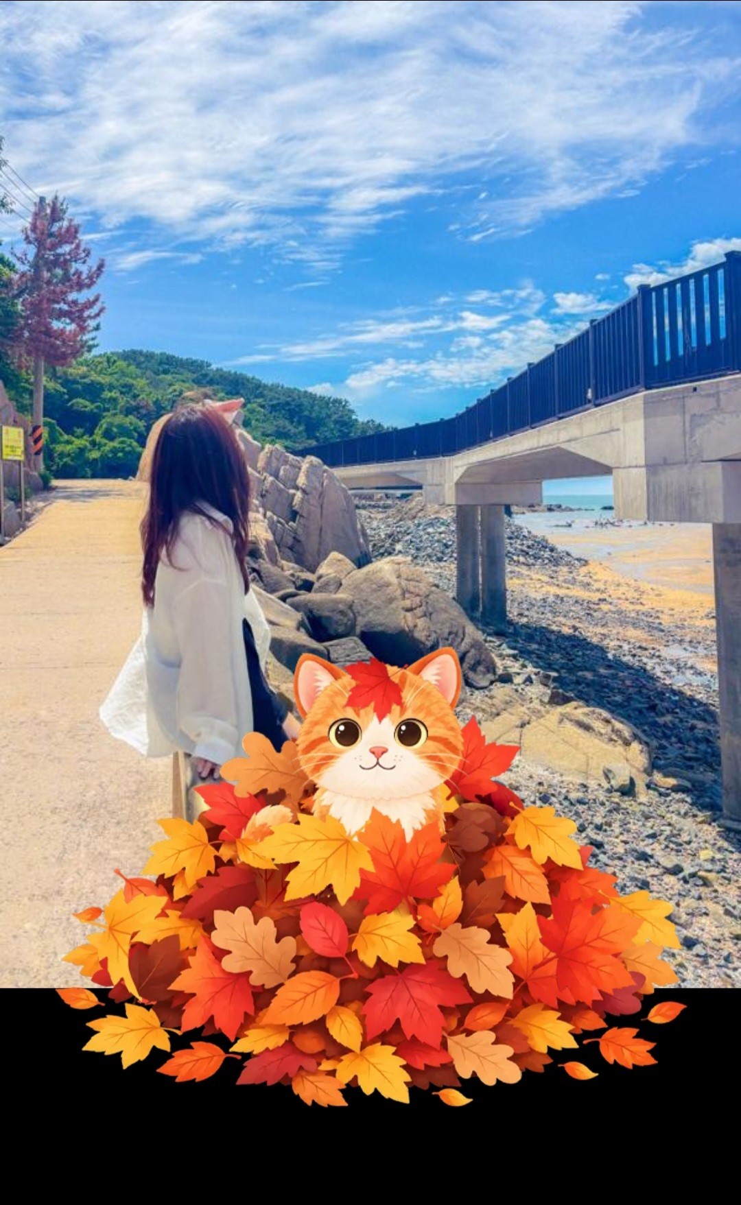 생일 D - 1