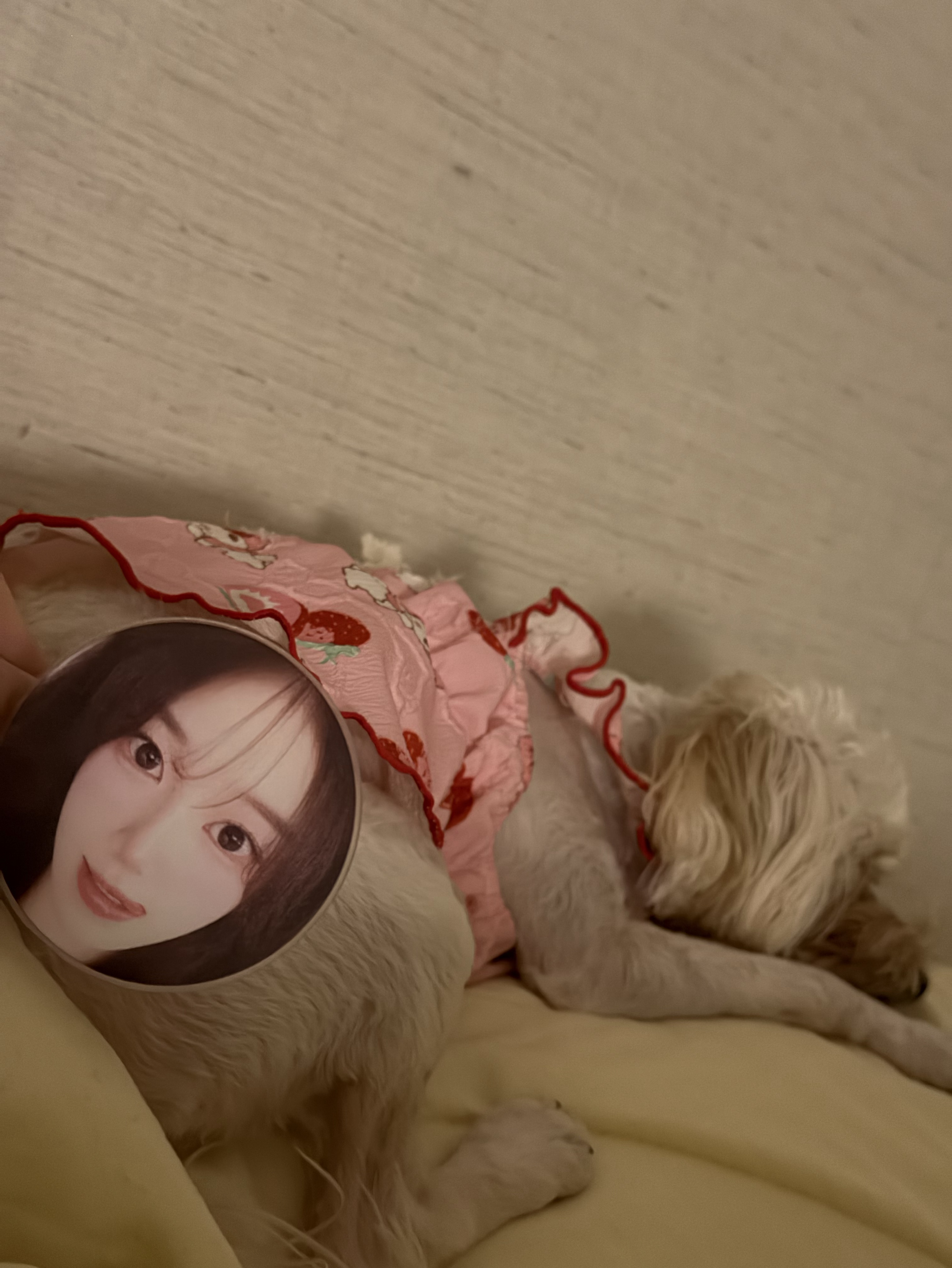 나랑 놀아