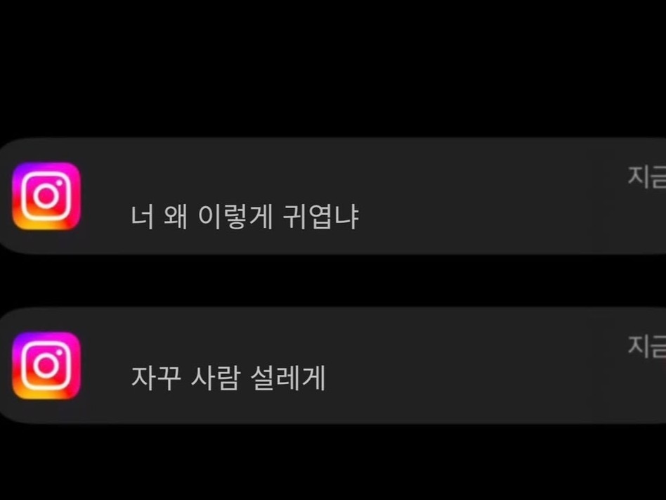 깜짝 등장!