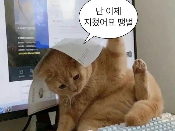 마감시둥  플리&소통 팬닉모집