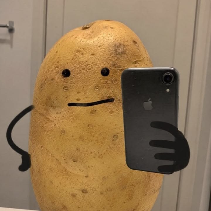 감자 좋아하세요...?
