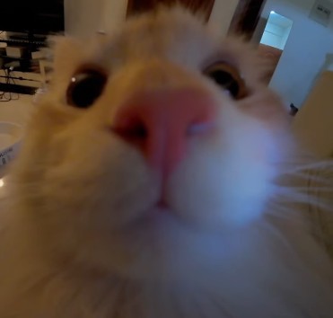 안녀엉